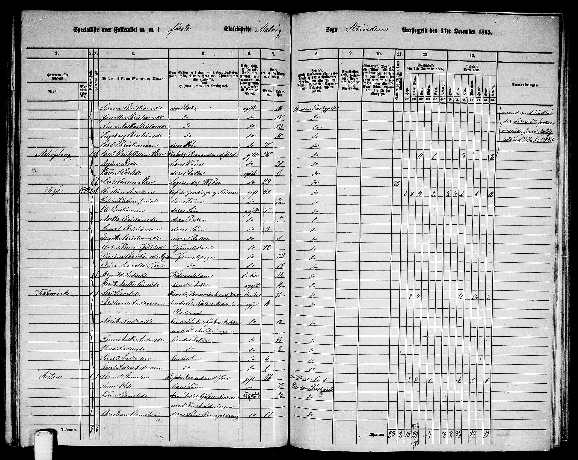 RA, 1865 census for Strinda, 1865, p. 203