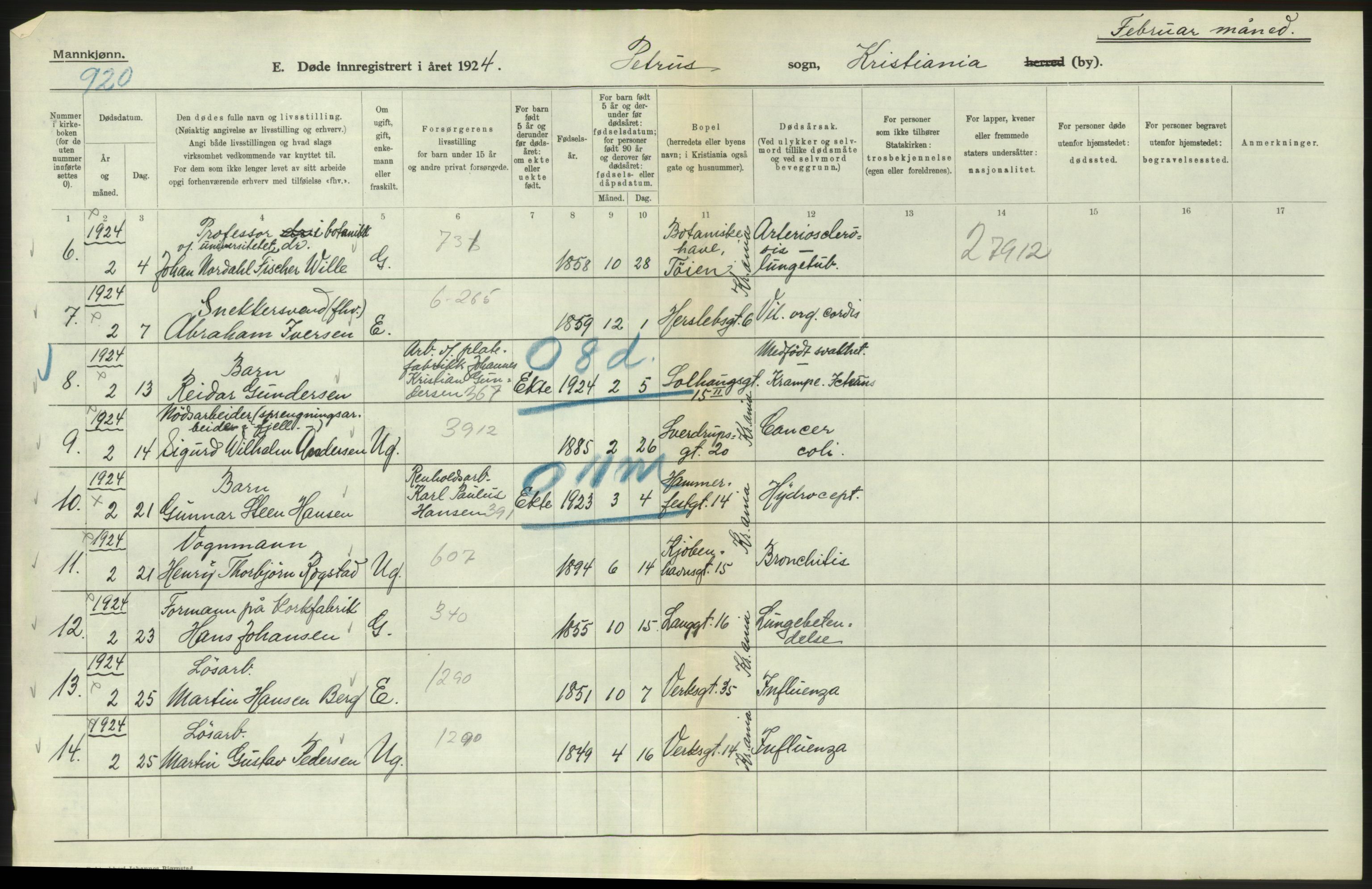 Statistisk sentralbyrå, Sosiodemografiske emner, Befolkning, AV/RA-S-2228/D/Df/Dfc/Dfcd/L0008: Kristiania: Døde menn, 1924, p. 258