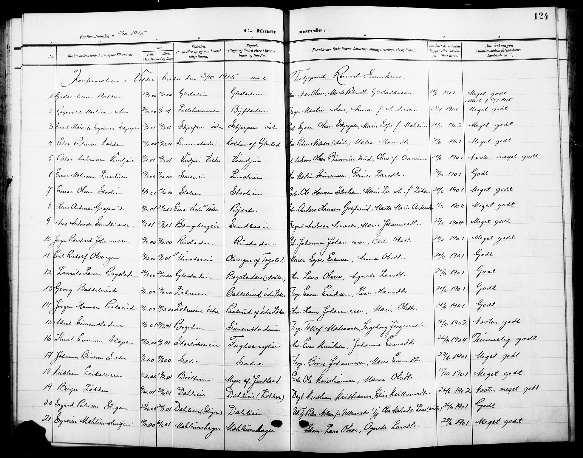 Ringsaker prestekontor, AV/SAH-PREST-014/L/La/L0017: Parish register (copy) no. 17, 1905-1920, p. 124