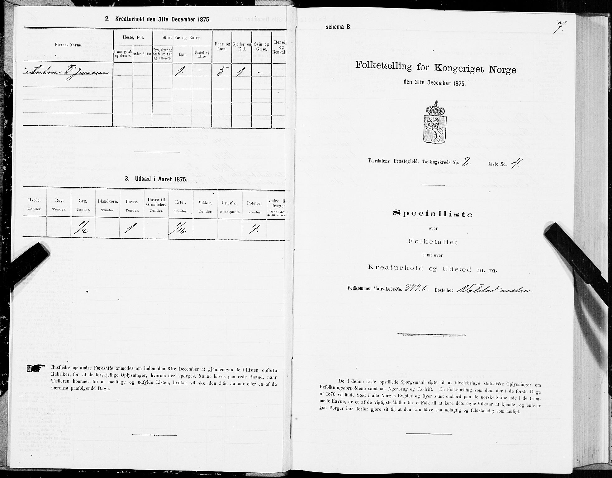 SAT, 1875 census for 1721P Verdal, 1875, p. 5007