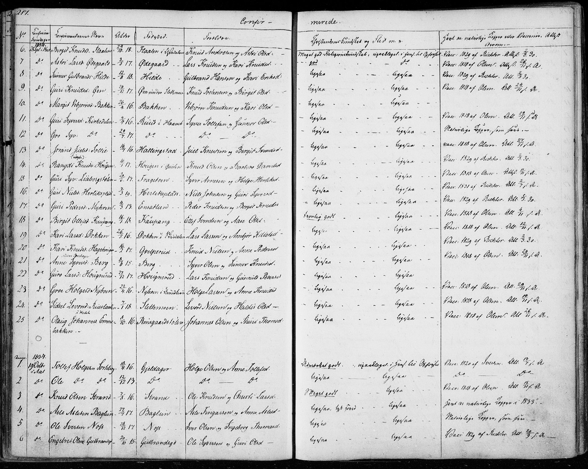 Ål kirkebøker, SAKO/A-249/F/Fa/L0005: Parish register (official) no. I 5, 1825-1848, p. 217