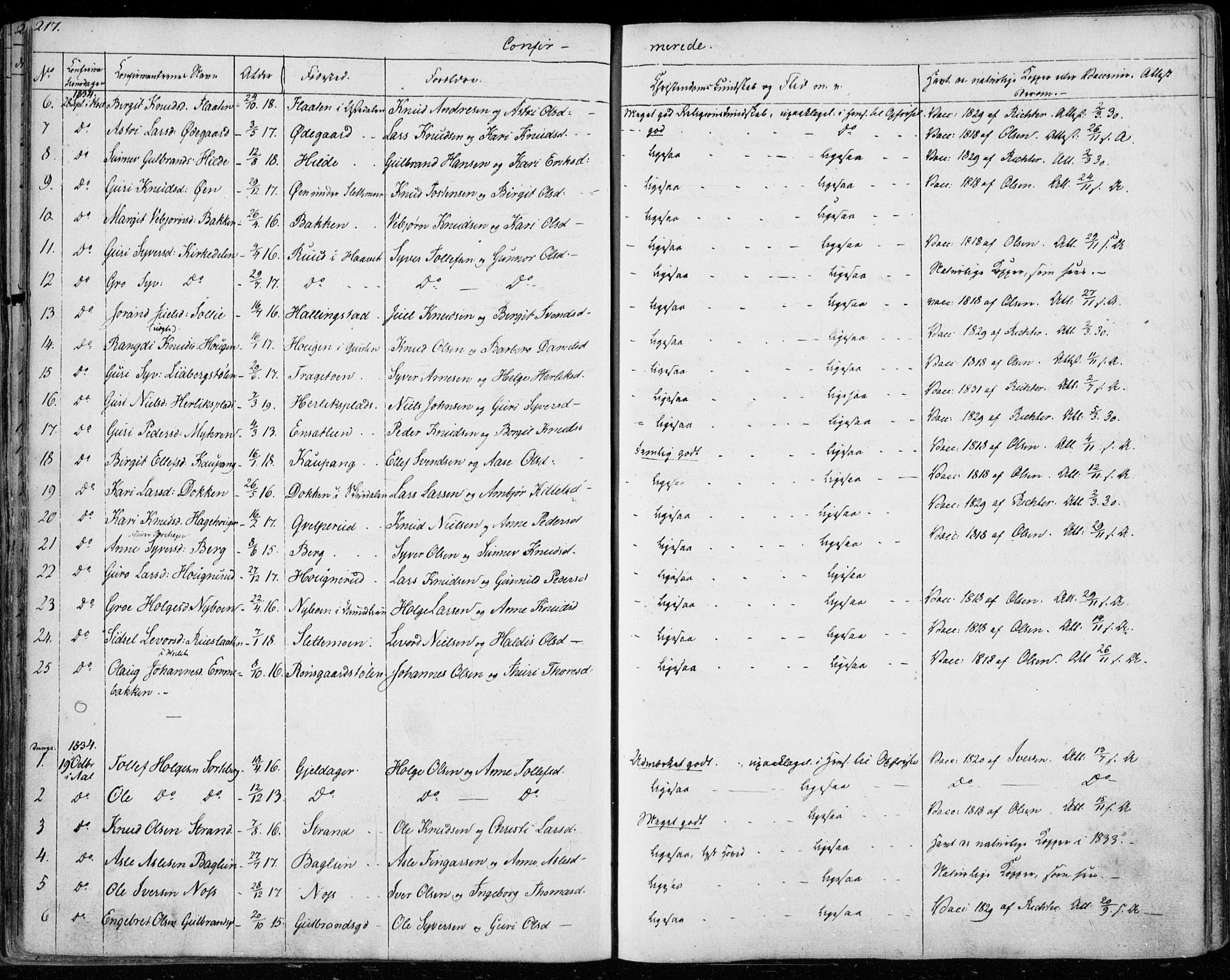 Ål kirkebøker, AV/SAKO-A-249/F/Fa/L0005: Parish register (official) no. I 5, 1825-1848, p. 217