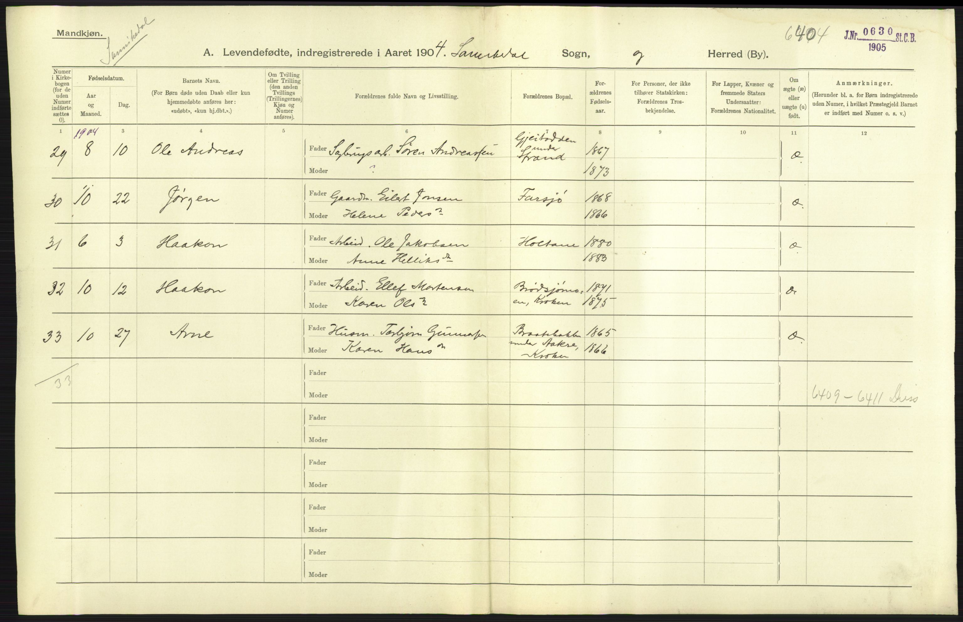 Statistisk sentralbyrå, Sosiodemografiske emner, Befolkning, AV/RA-S-2228/D/Df/Dfa/Dfab/L0009: Bratsberg amt: Fødte, gifte, døde, 1904, p. 29