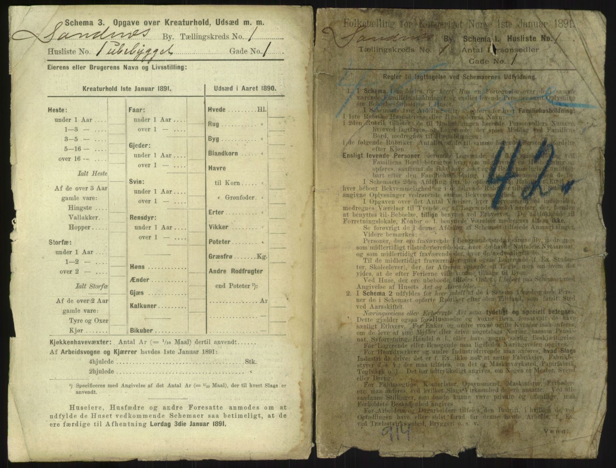 RA, 1891 census for 1102 Sandnes, 1891, p. 15