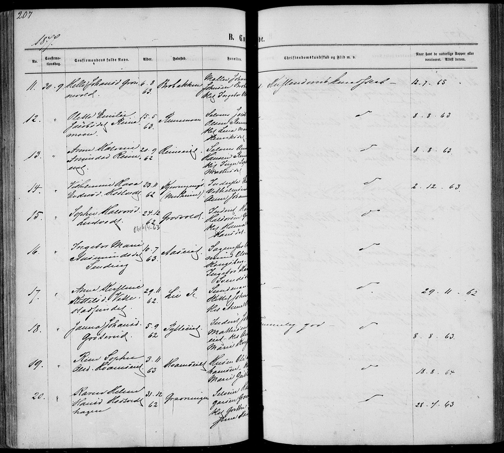 Sandsvær kirkebøker, AV/SAKO-A-244/F/Fa/L0007: Parish register (official) no. I 7, 1869-1877, p. 207