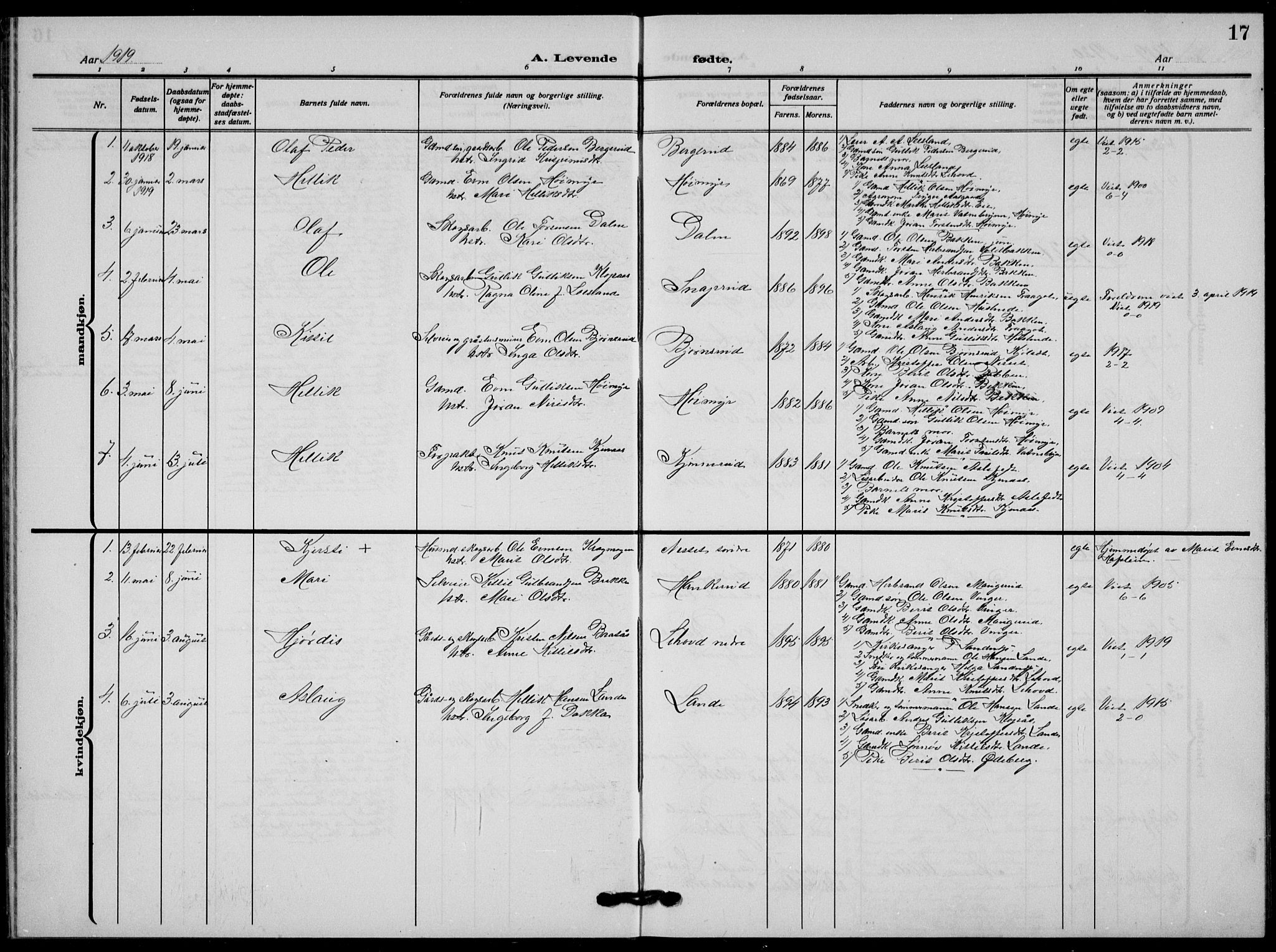 Flesberg kirkebøker, AV/SAKO-A-18/G/Ga/L0006: Parish register (copy) no. I 6, 1909-1924, p. 17