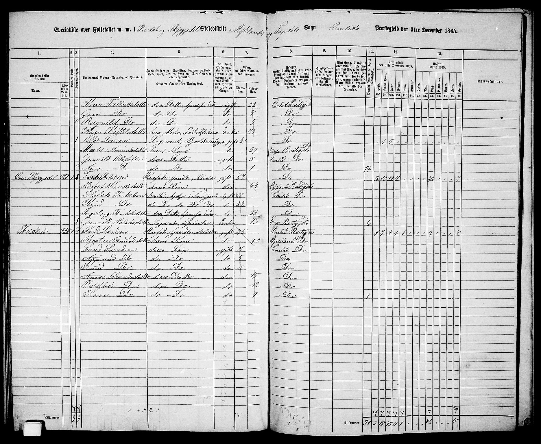 RA, 1865 census for Åmli, 1865, p. 107