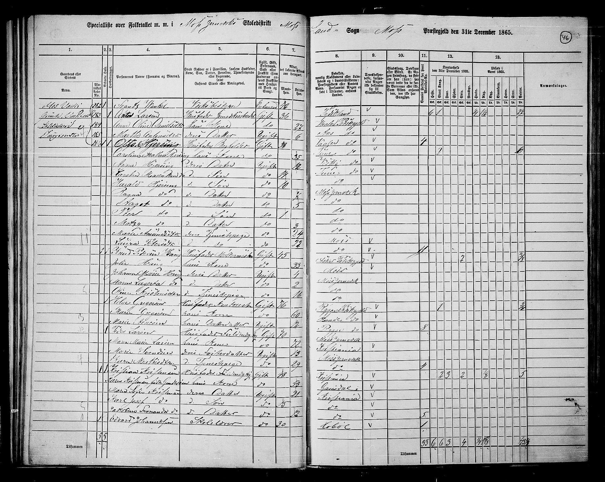 RA, 1865 census for Moss/Moss, 1865, p. 42