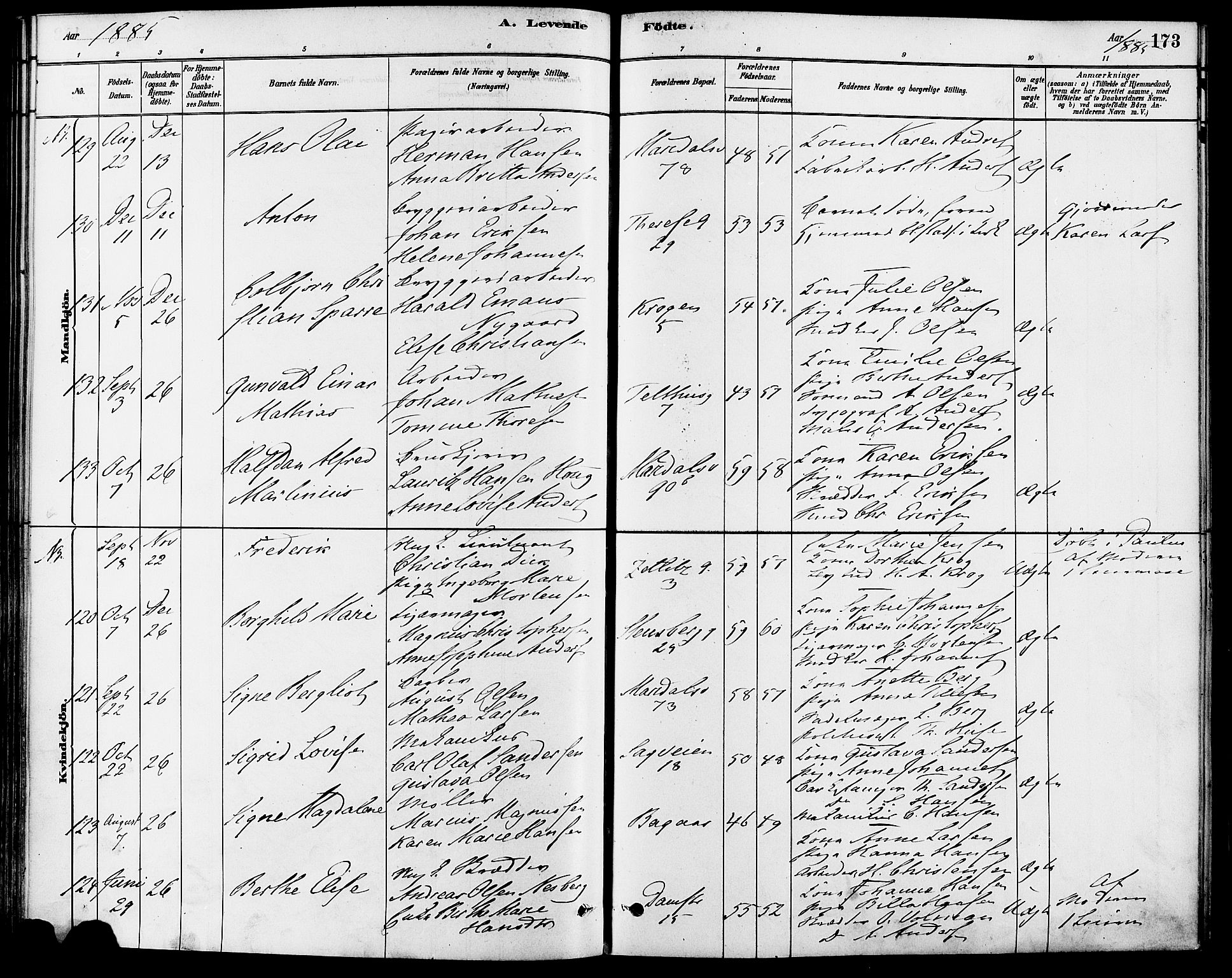 Gamle Aker prestekontor Kirkebøker, SAO/A-10617a/F/L0006: Parish register (official) no. 6, 1880-1887, p. 173