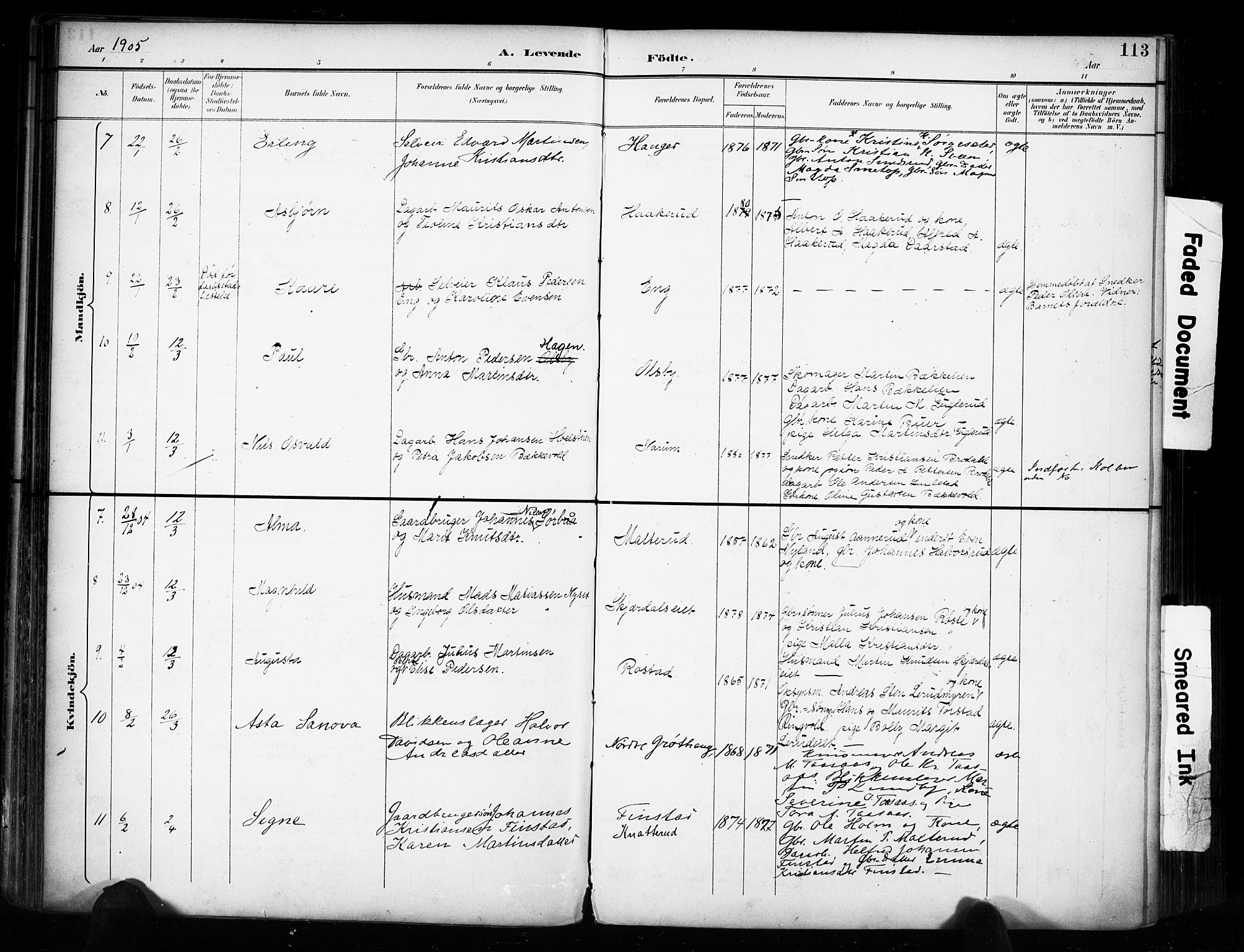 Vestre Toten prestekontor, SAH/PREST-108/H/Ha/Haa/L0011: Parish register (official) no. 11, 1895-1906, p. 113
