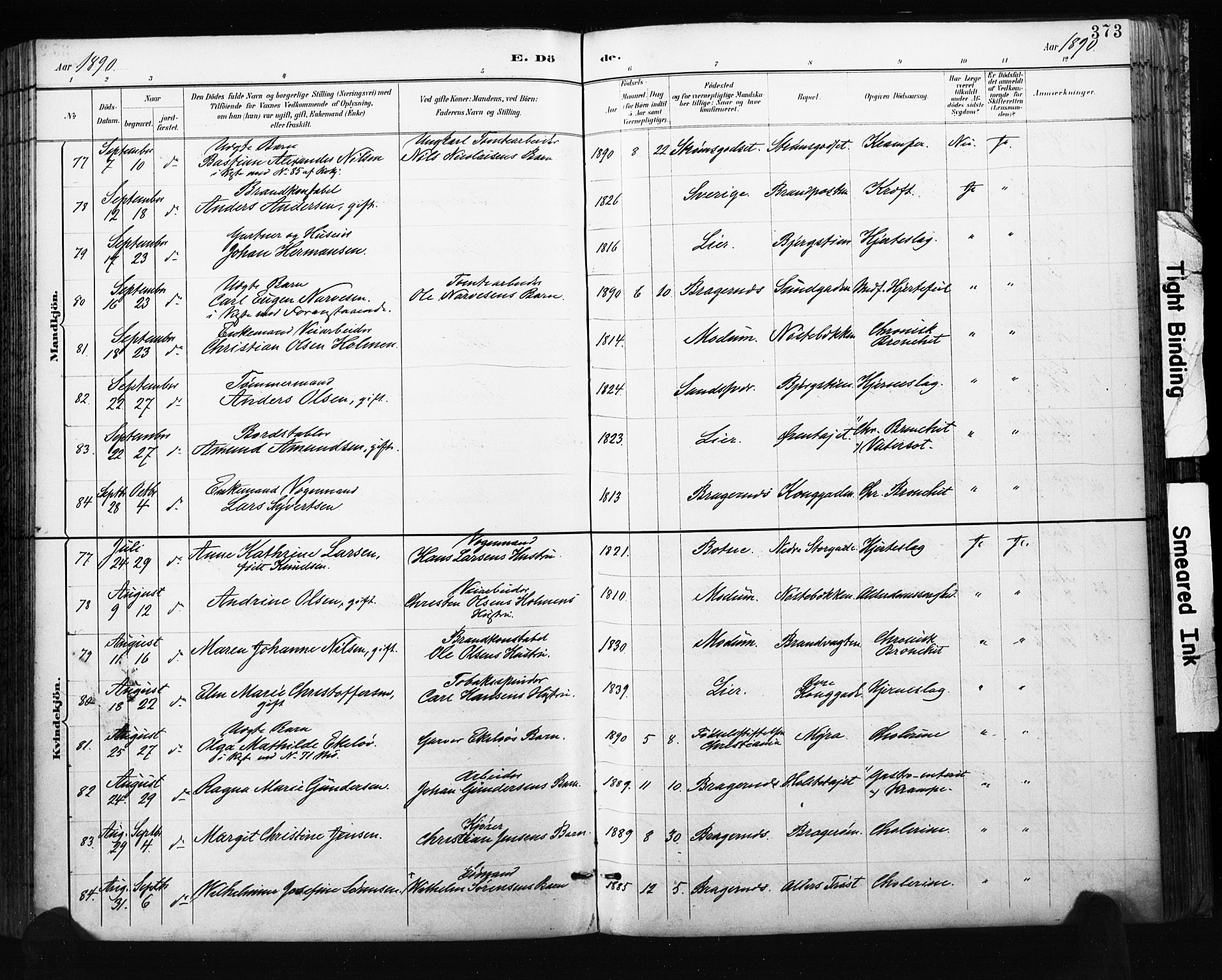 Bragernes kirkebøker, AV/SAKO-A-6/F/Fb/L0007: Parish register (official) no. II 7, 1885-1893, p. 373