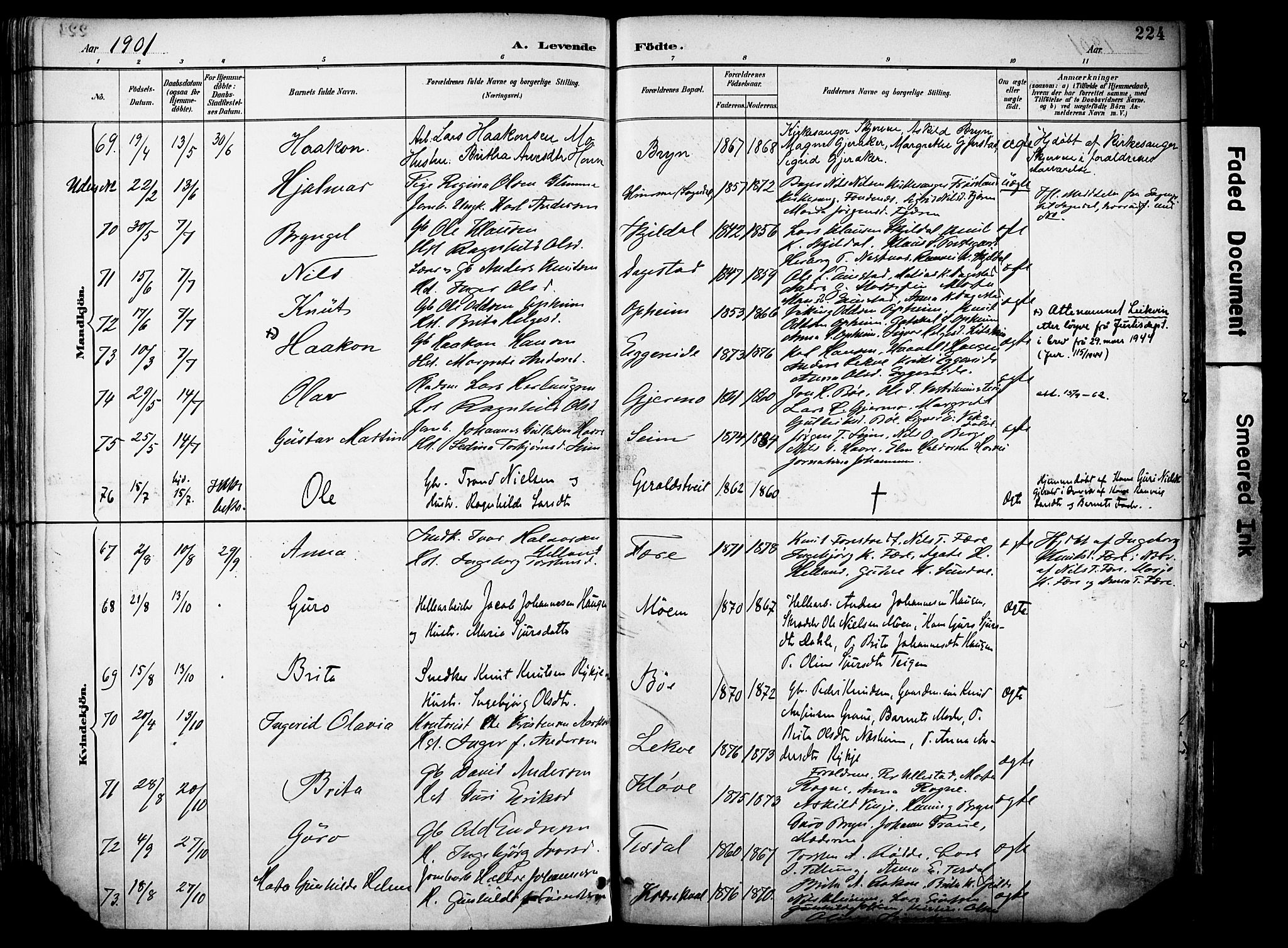Voss sokneprestembete, SAB/A-79001/H/Haa: Parish register (official) no. A 21, 1887-1903, p. 224