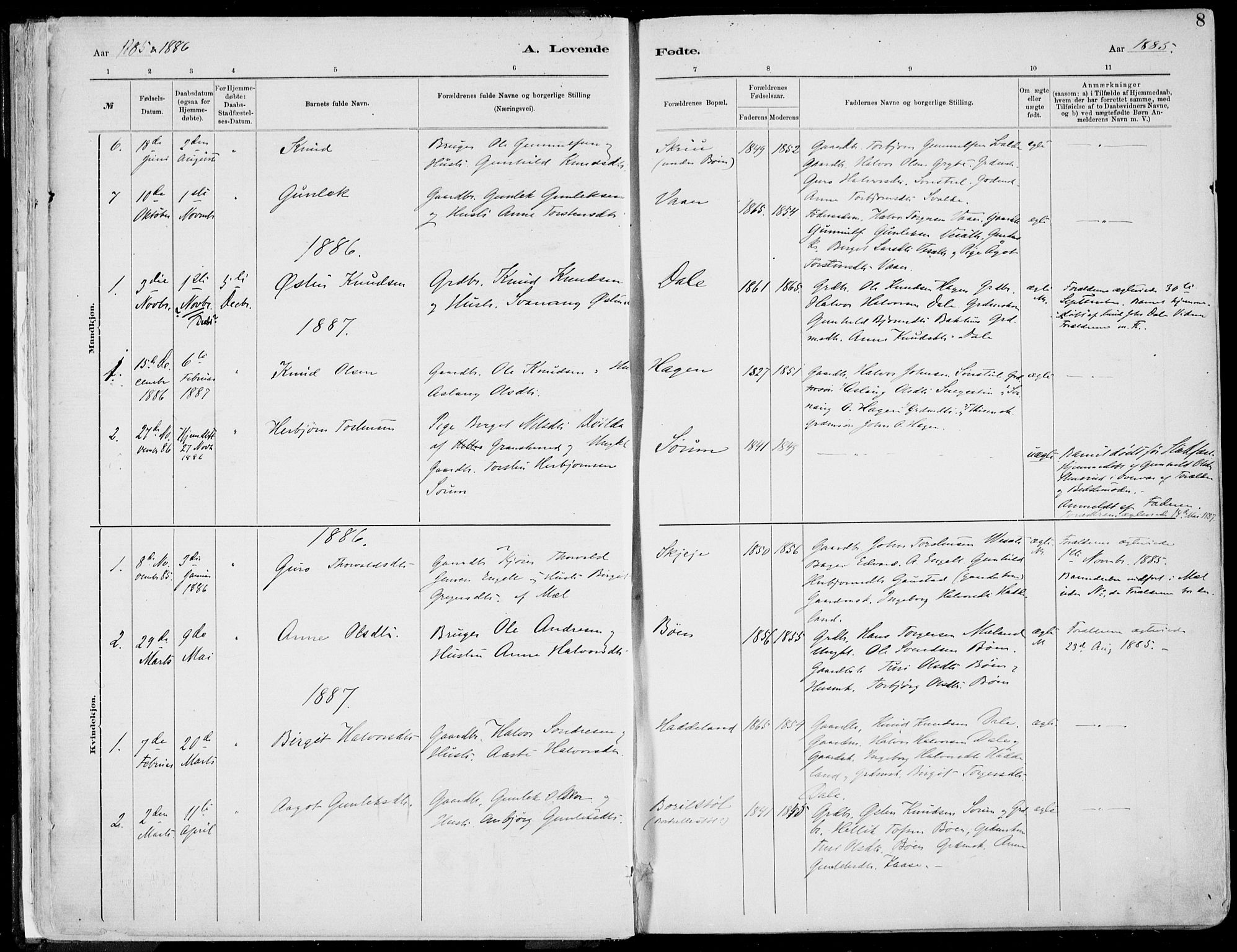Rjukan kirkebøker, SAKO/A-294/F/Fa/L0001: Parish register (official) no. 1, 1878-1912, p. 8