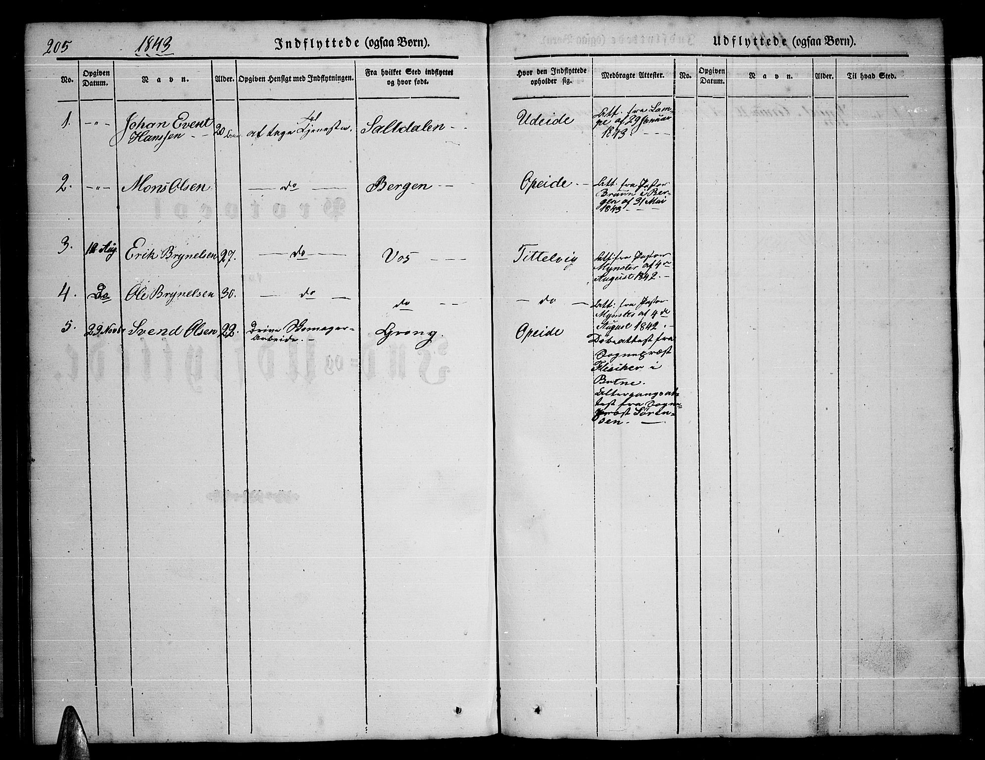 Ministerialprotokoller, klokkerbøker og fødselsregistre - Nordland, AV/SAT-A-1459/859/L0856: Parish register (copy) no. 859C02, 1843-1854, p. 205