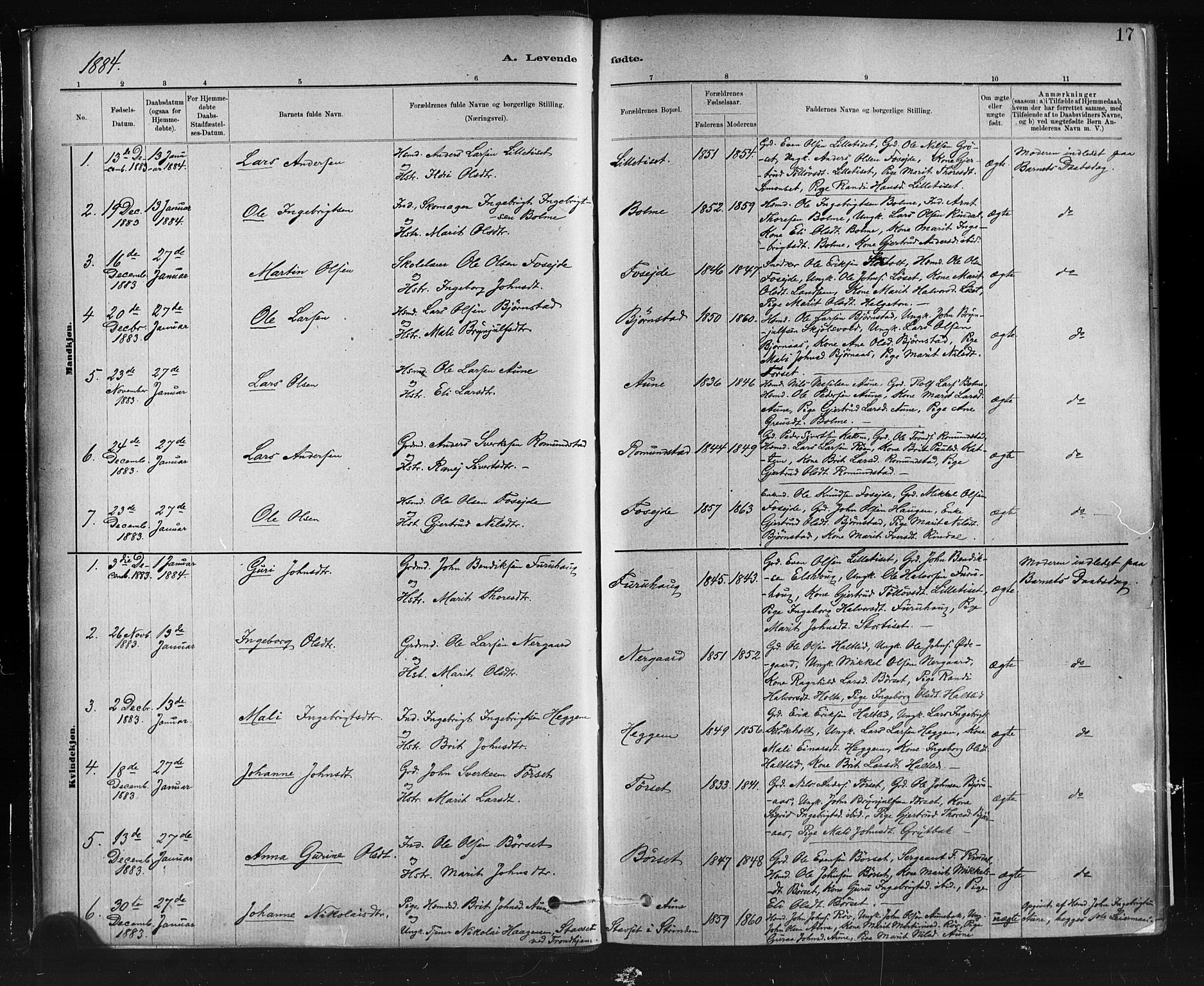 Ministerialprotokoller, klokkerbøker og fødselsregistre - Møre og Romsdal, AV/SAT-A-1454/598/L1069: Parish register (official) no. 598A03, 1882-1895, p. 17