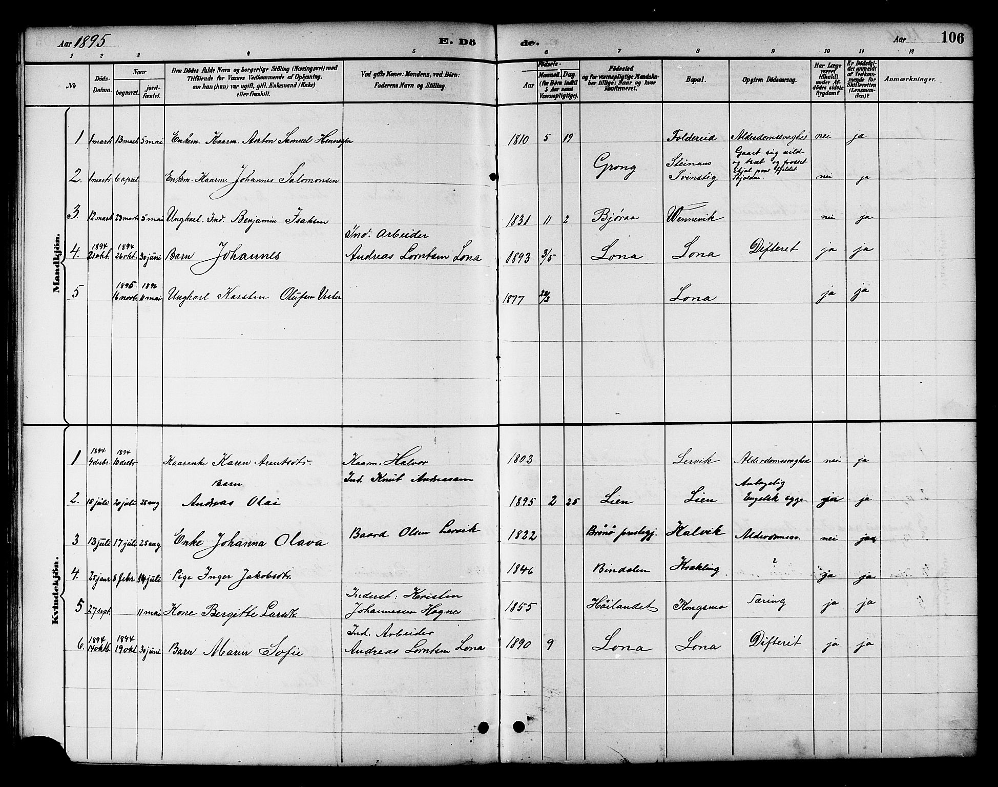 Ministerialprotokoller, klokkerbøker og fødselsregistre - Nord-Trøndelag, SAT/A-1458/783/L0662: Parish register (copy) no. 783C02, 1894-1919, p. 106