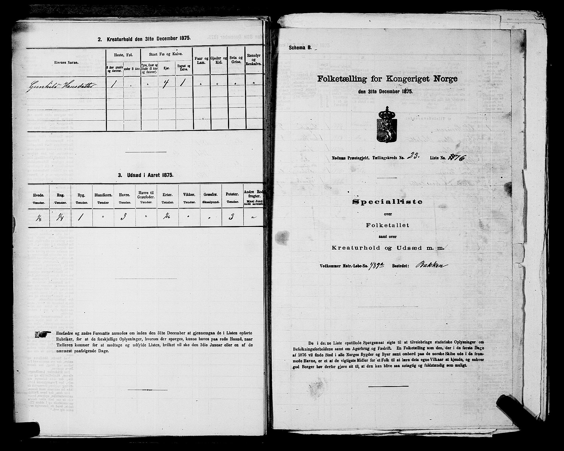 SAKO, 1875 census for 0623P Modum, 1875, p. 2878