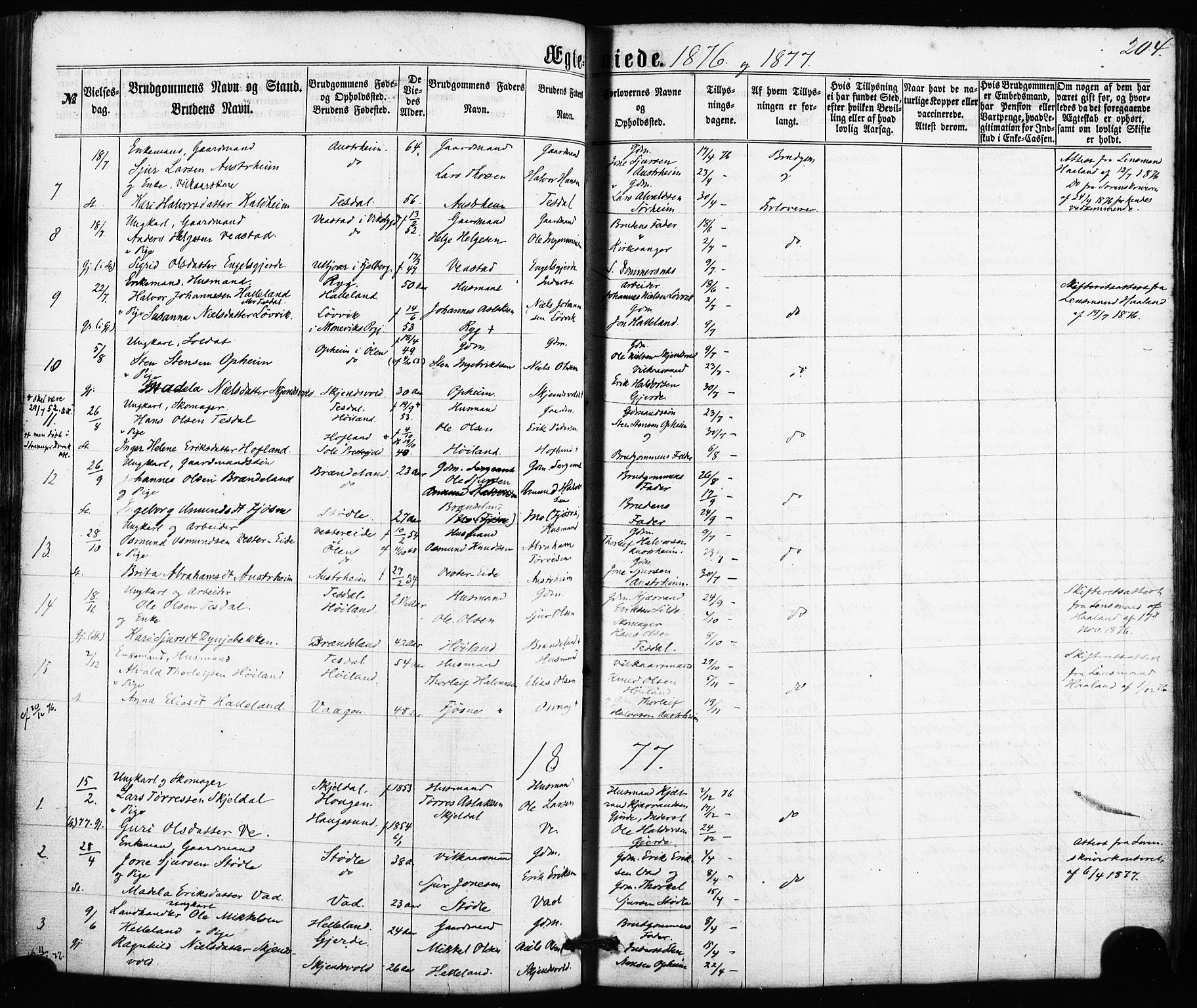 Etne sokneprestembete, SAB/A-75001/H/Haa: Parish register (official) no. A 9, 1862-1878, p. 204