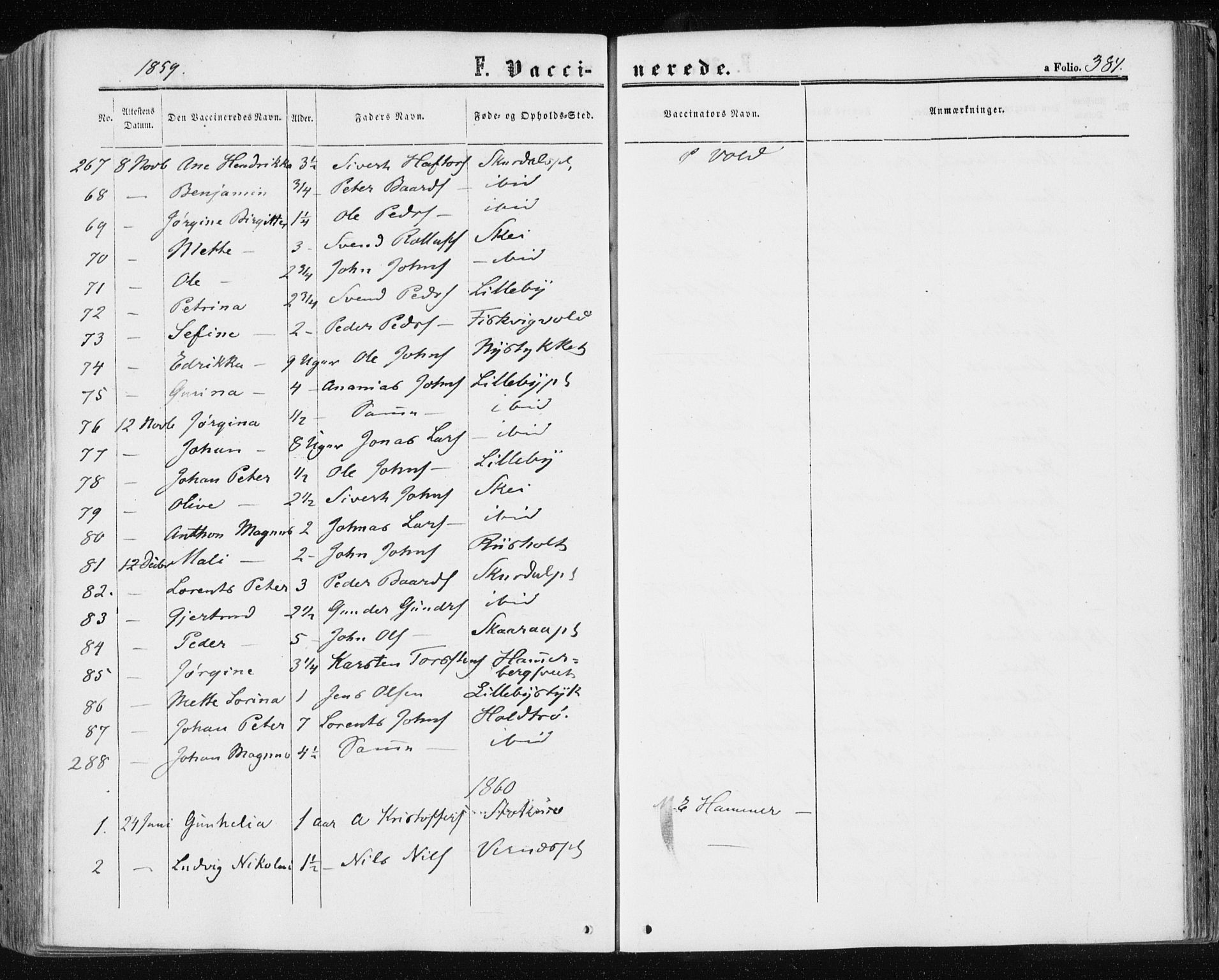 Ministerialprotokoller, klokkerbøker og fødselsregistre - Nord-Trøndelag, AV/SAT-A-1458/709/L0075: Parish register (official) no. 709A15, 1859-1870, p. 384