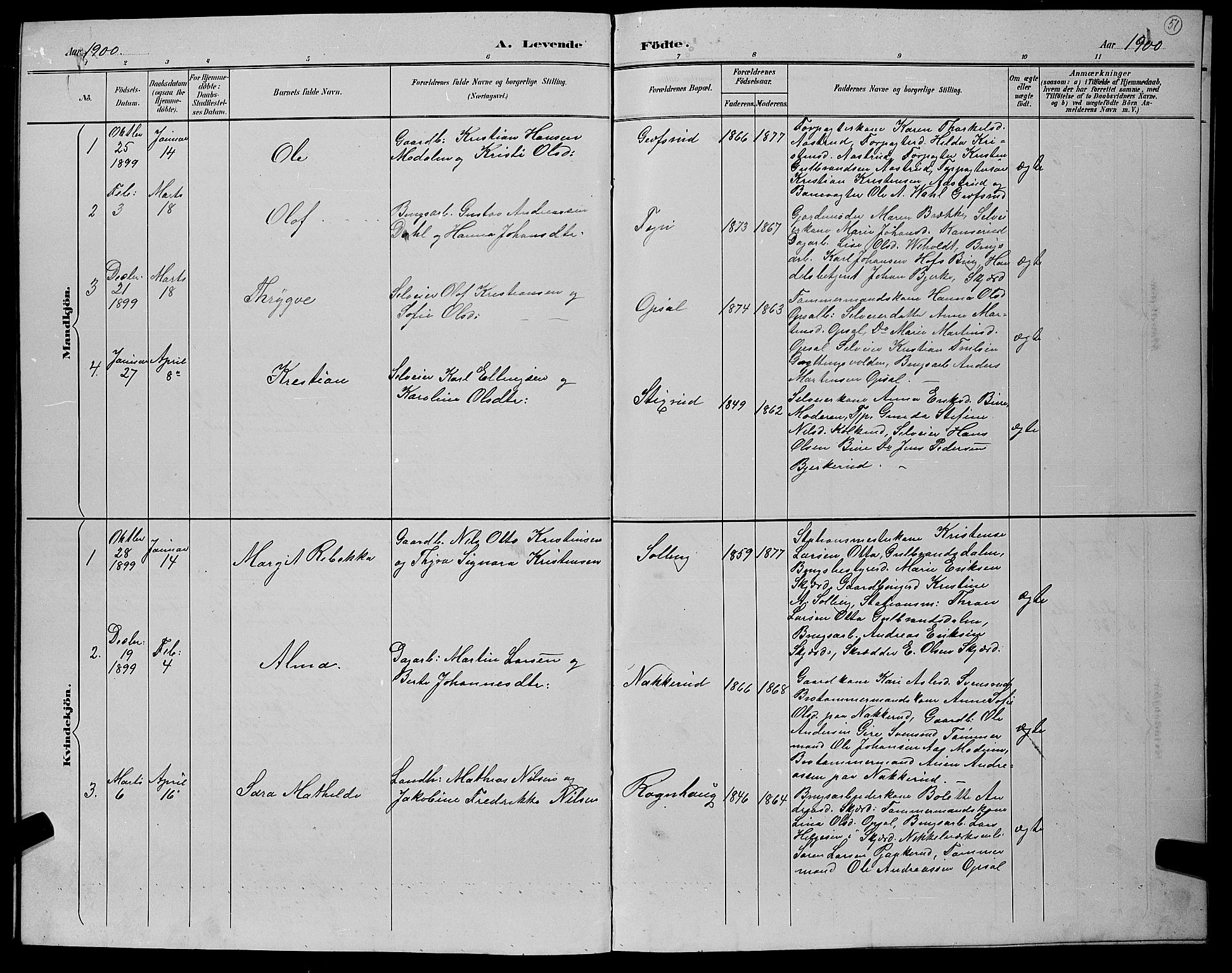 Hole kirkebøker, AV/SAKO-A-228/G/Gb/L0003: Parish register (copy) no. II 3, 1890-1901, p. 51