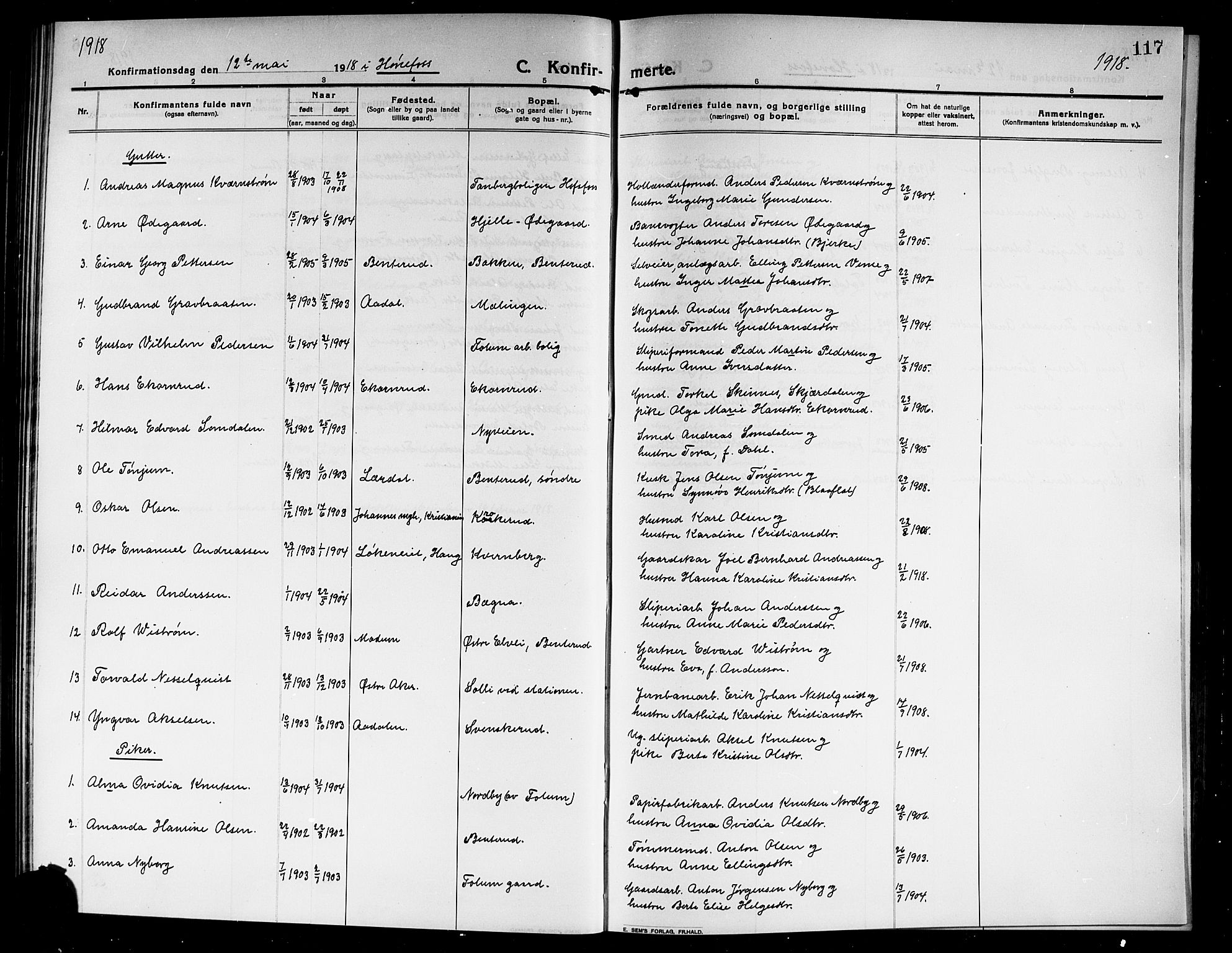 Norderhov kirkebøker, SAKO/A-237/G/Ga/L0009: Parish register (copy) no. I 9, 1913-1920, p. 117