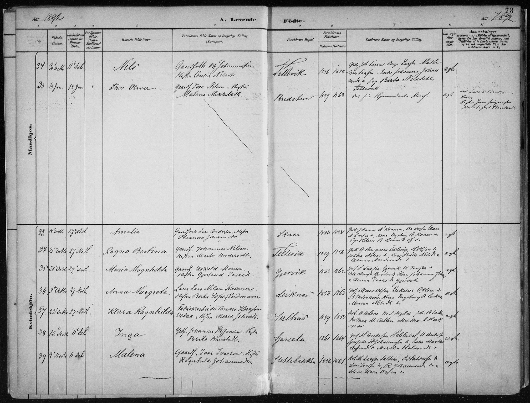 Hamre sokneprestembete, AV/SAB-A-75501/H/Ha/Haa/Haab/L0001: Parish register (official) no. B  1, 1882-1905, p. 73