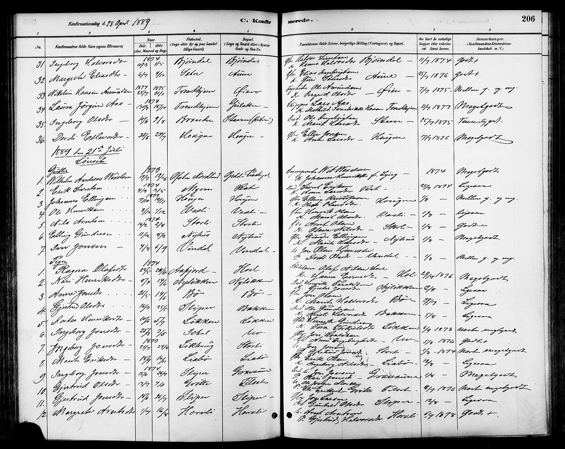 Ministerialprotokoller, klokkerbøker og fødselsregistre - Sør-Trøndelag, SAT/A-1456/678/L0901: Parish register (official) no. 678A10, 1881-1894, p. 206