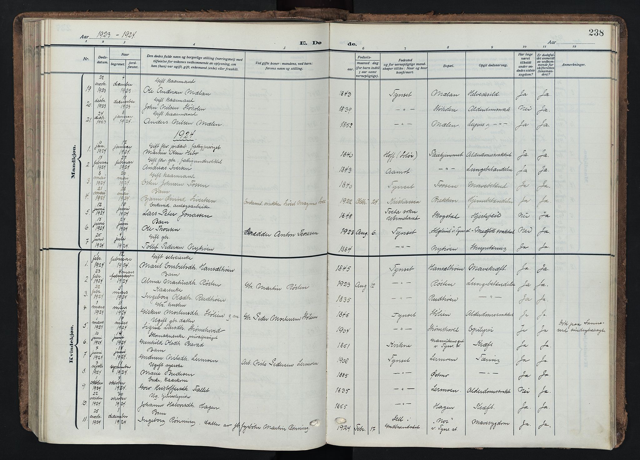 Tynset prestekontor, SAH/PREST-058/H/Ha/Haa/L0026: Parish register (official) no. 26, 1915-1929, p. 238