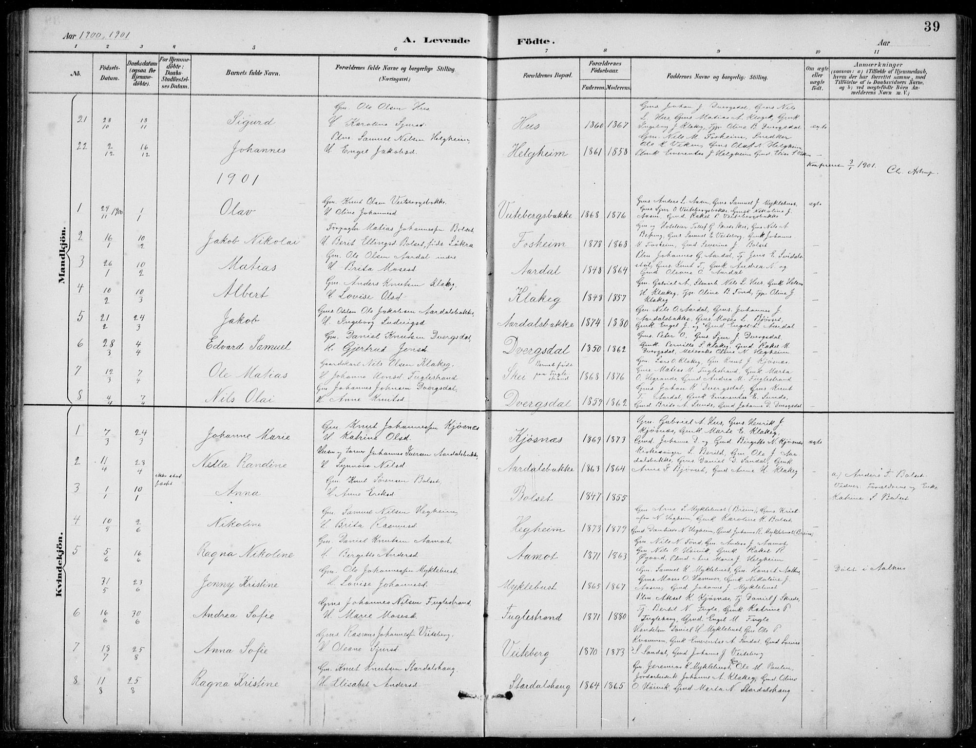 Jølster sokneprestembete, SAB/A-80701/H/Hab/Habb/L0002: Parish register (copy) no. B 2, 1887-1920, p. 39
