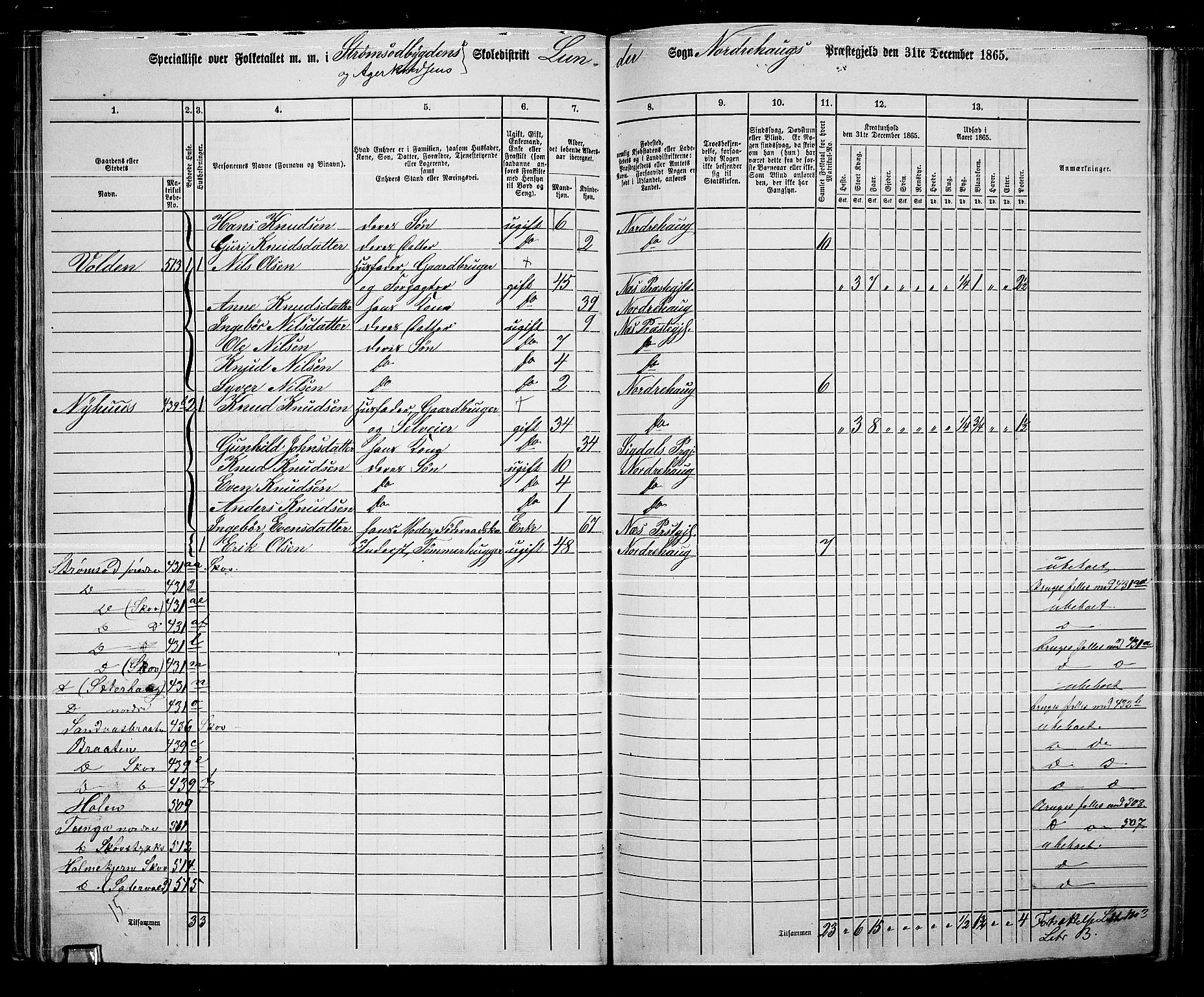 RA, 1865 census for Norderhov/Norderhov, Haug og Lunder, 1865, p. 58