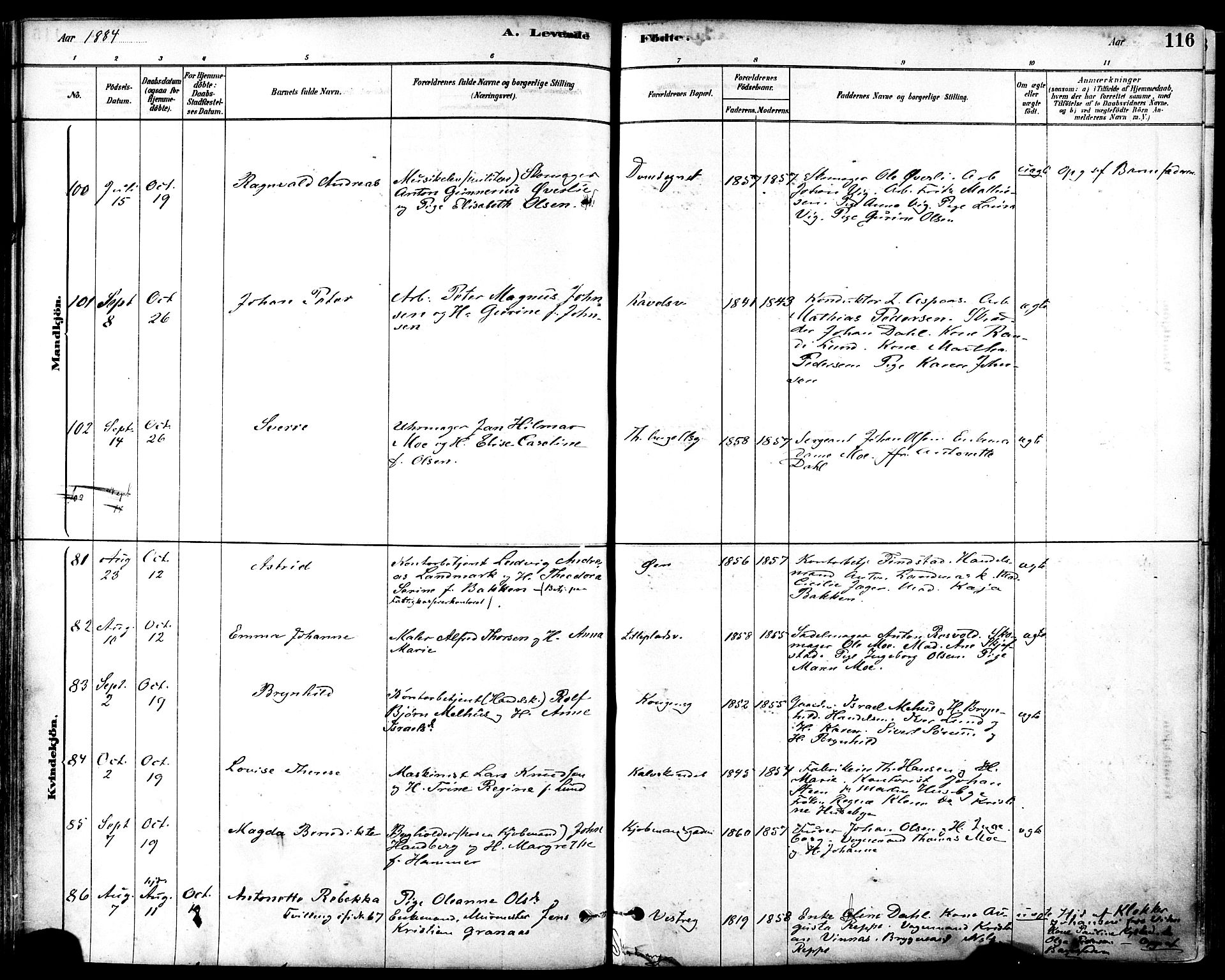 Ministerialprotokoller, klokkerbøker og fødselsregistre - Sør-Trøndelag, AV/SAT-A-1456/601/L0057: Parish register (official) no. 601A25, 1877-1891, p. 116