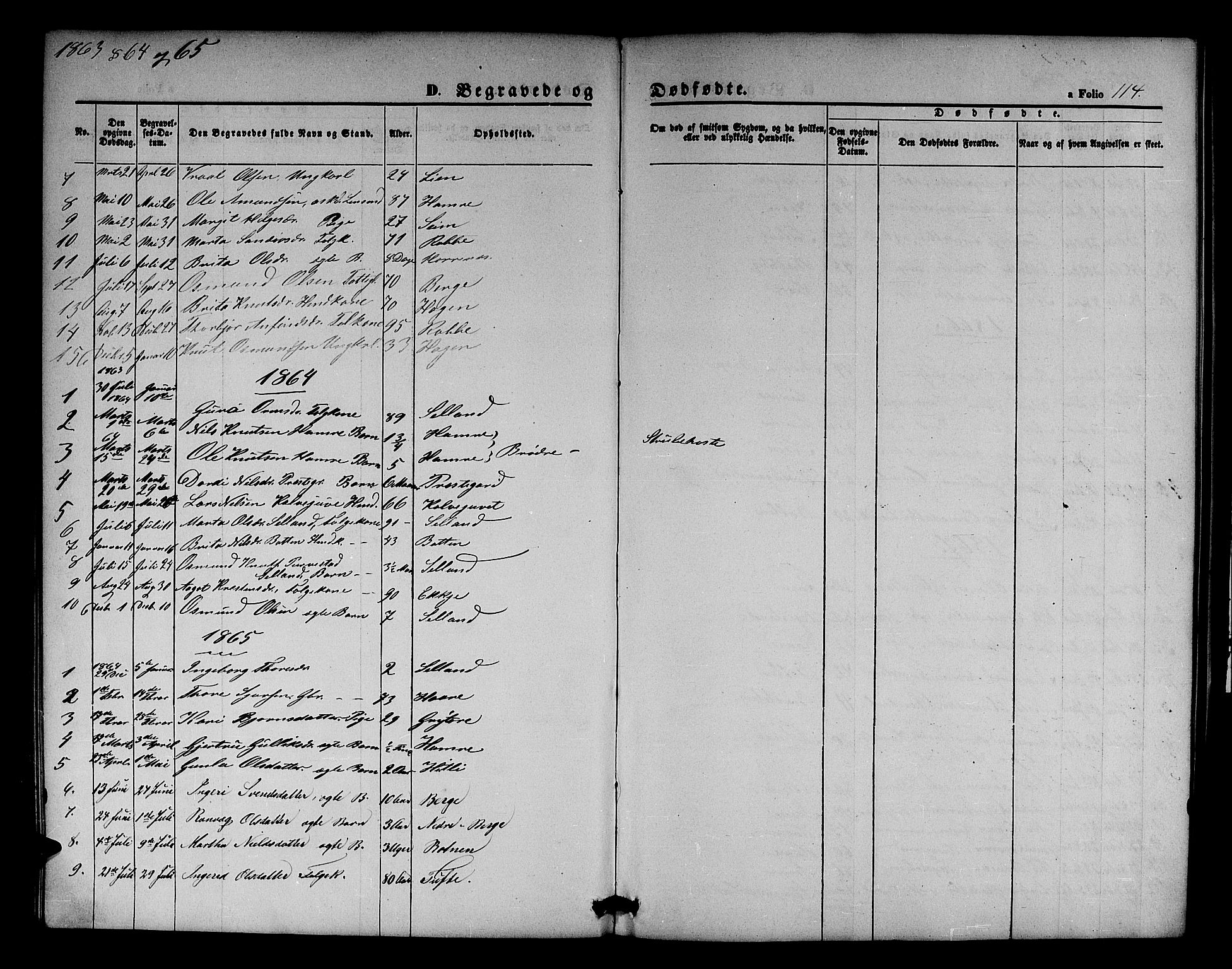 Røldal sokneprestembete, SAB/A-100247: Parish register (copy) no. A 2, 1861-1886, p. 114