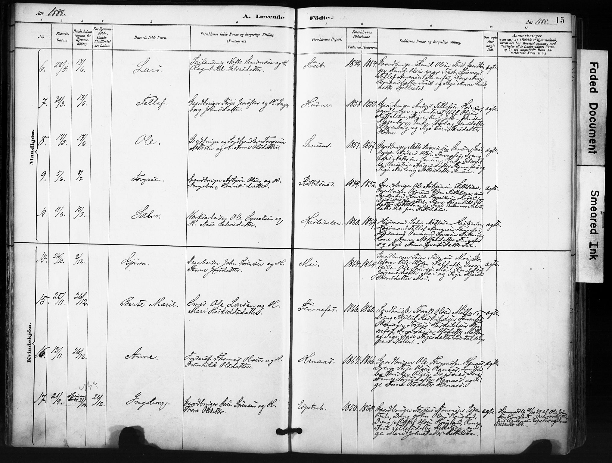 Evje sokneprestkontor, SAK/1111-0008/F/Fa/Fab/L0003: Parish register (official) no. A 3, 1884-1909, p. 15