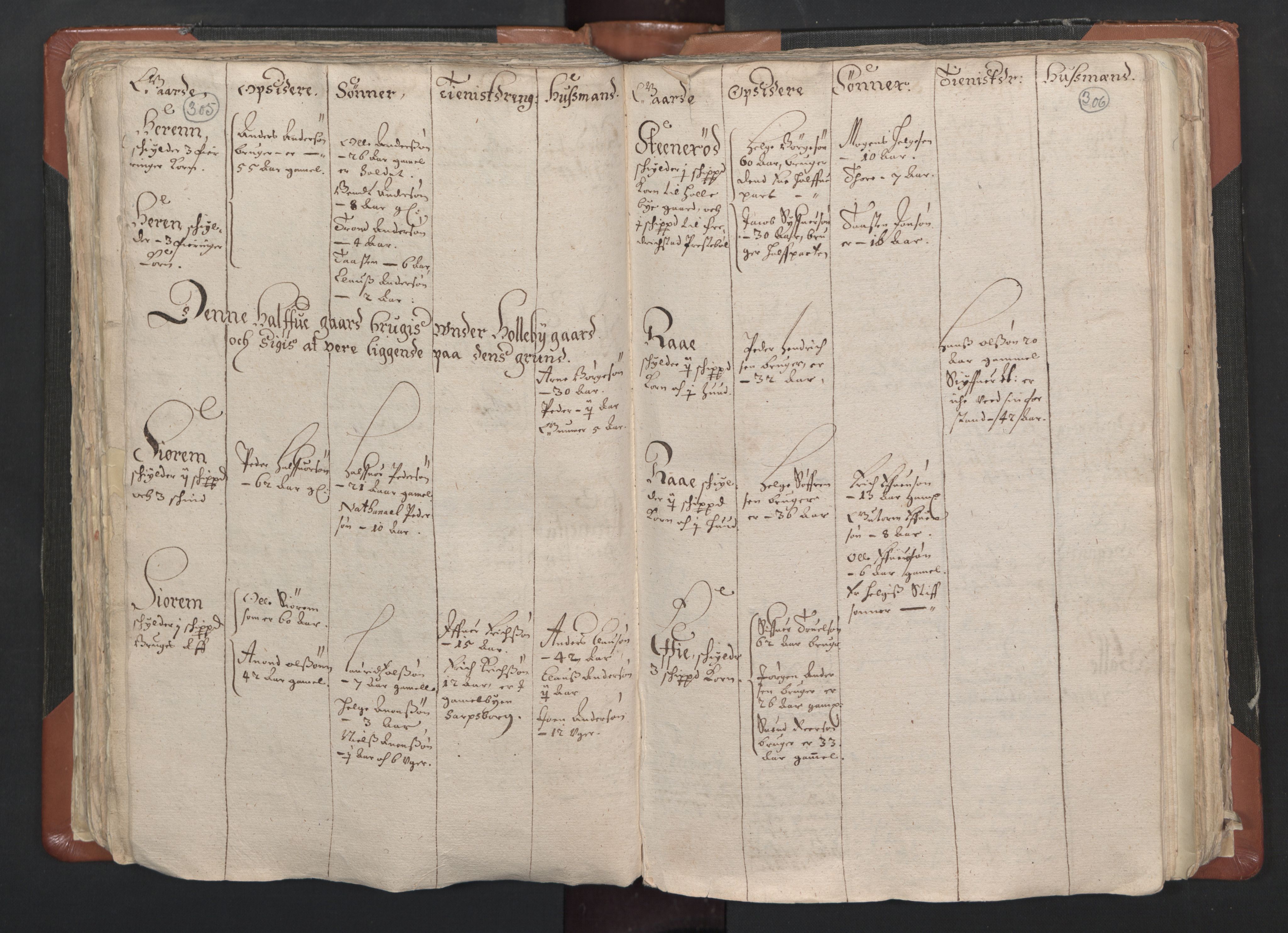 RA, Vicar's Census 1664-1666, no. 1: Nedre Borgesyssel deanery, 1664-1666, p. 305-306
