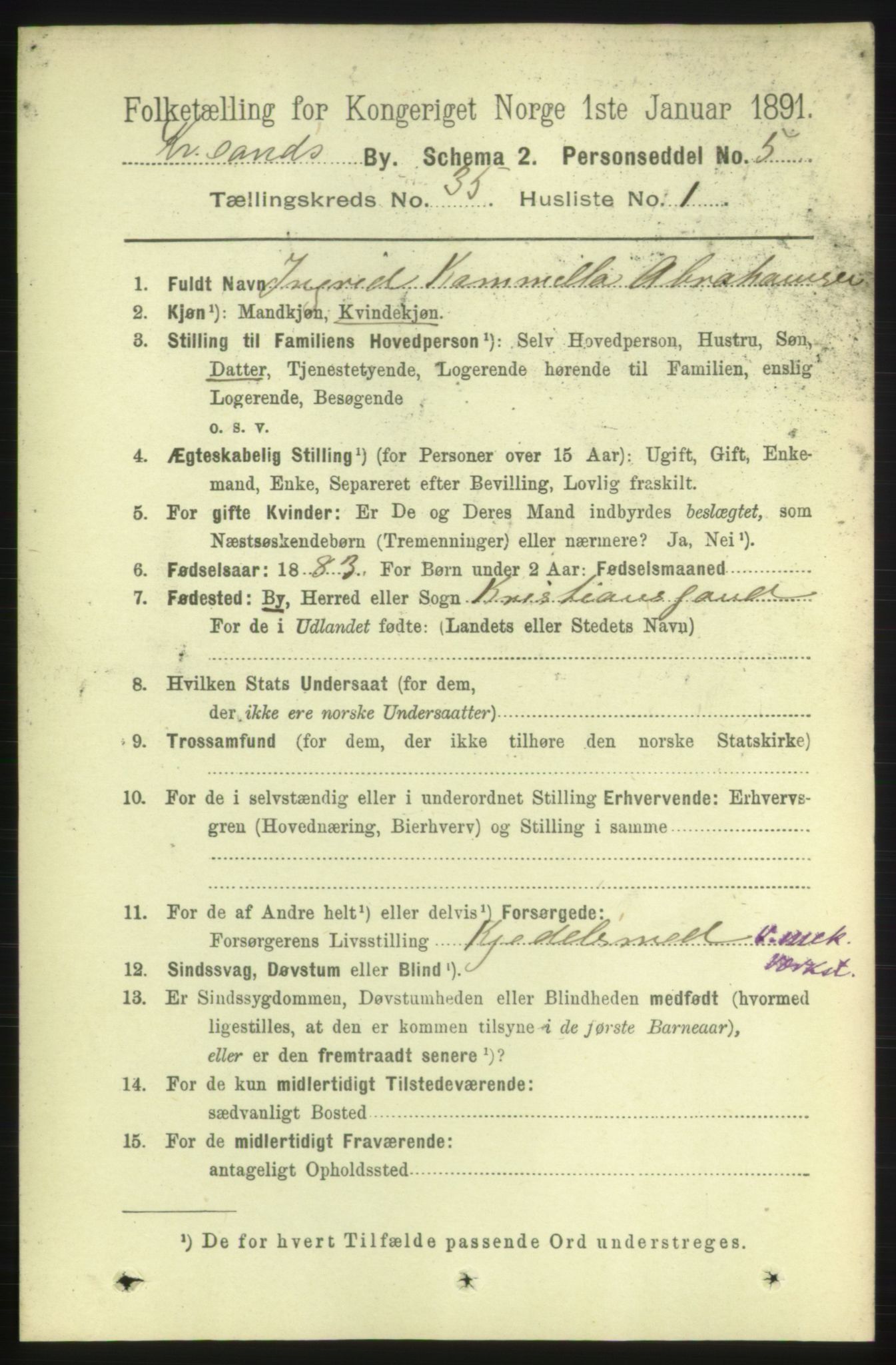 RA, 1891 census for 1001 Kristiansand, 1891, p. 11016