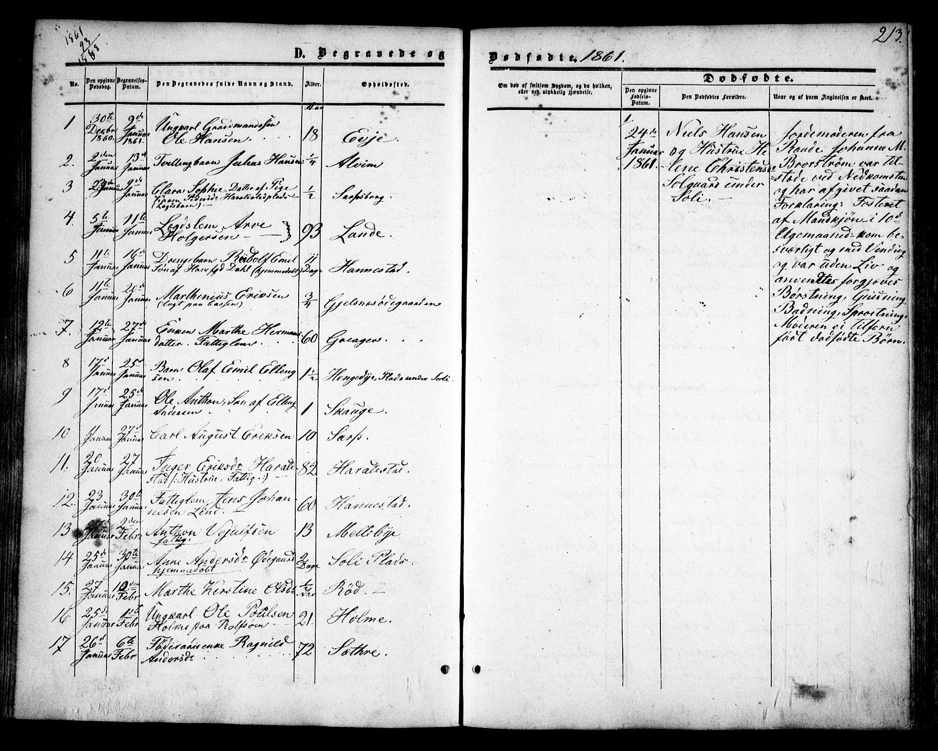 Tune prestekontor Kirkebøker, SAO/A-2007/F/Fa/L0013: Parish register (official) no. 13, 1859-1863, p. 213