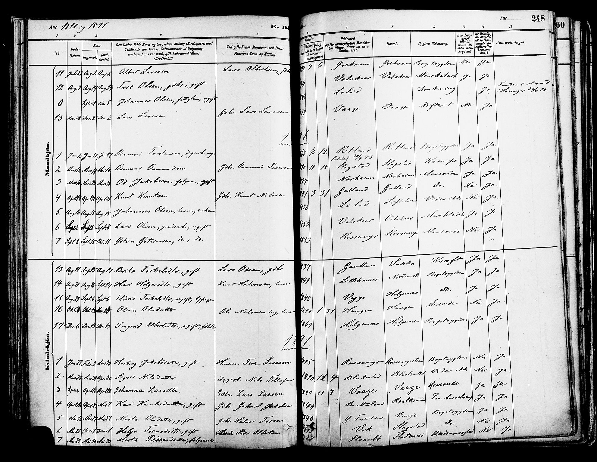 Suldal sokneprestkontor, AV/SAST-A-101845/01/IV/L0011: Parish register (official) no. A 11, 1878-1900, p. 248