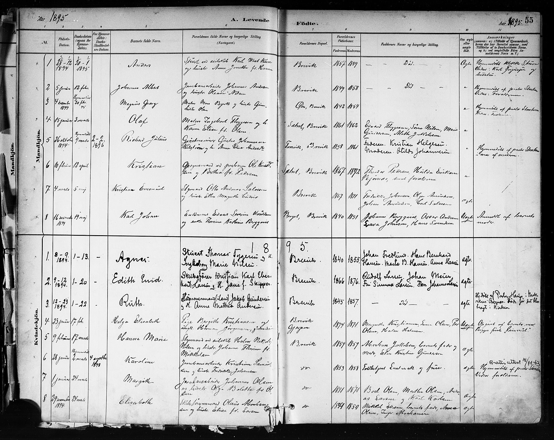 Brevik kirkebøker, SAKO/A-255/F/Fa/L0007: Parish register (official) no. 7, 1882-1900, p. 55