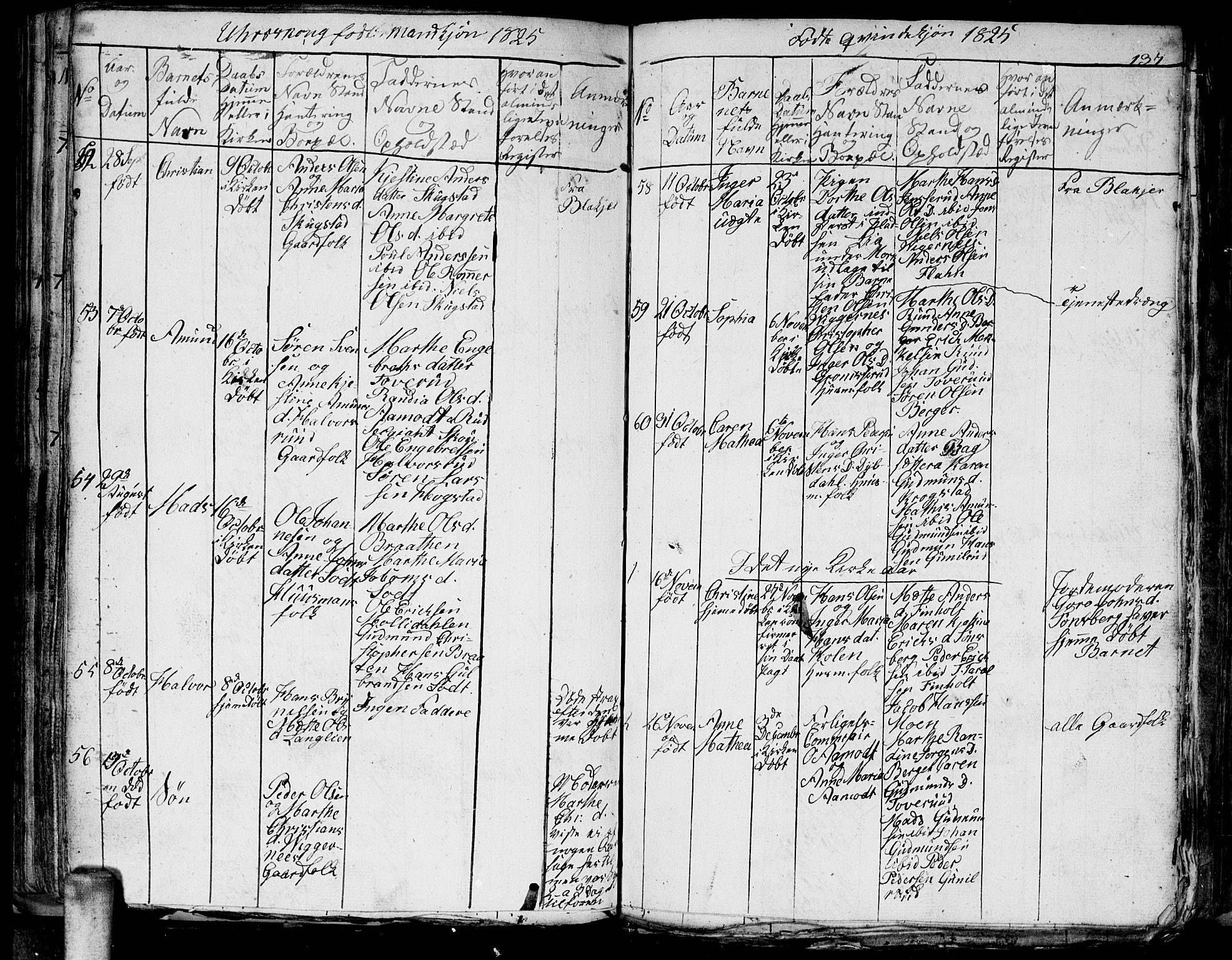 Aurskog prestekontor Kirkebøker, SAO/A-10304a/G/Ga/L0001: Parish register (copy) no. I 1, 1814-1829, p. 137