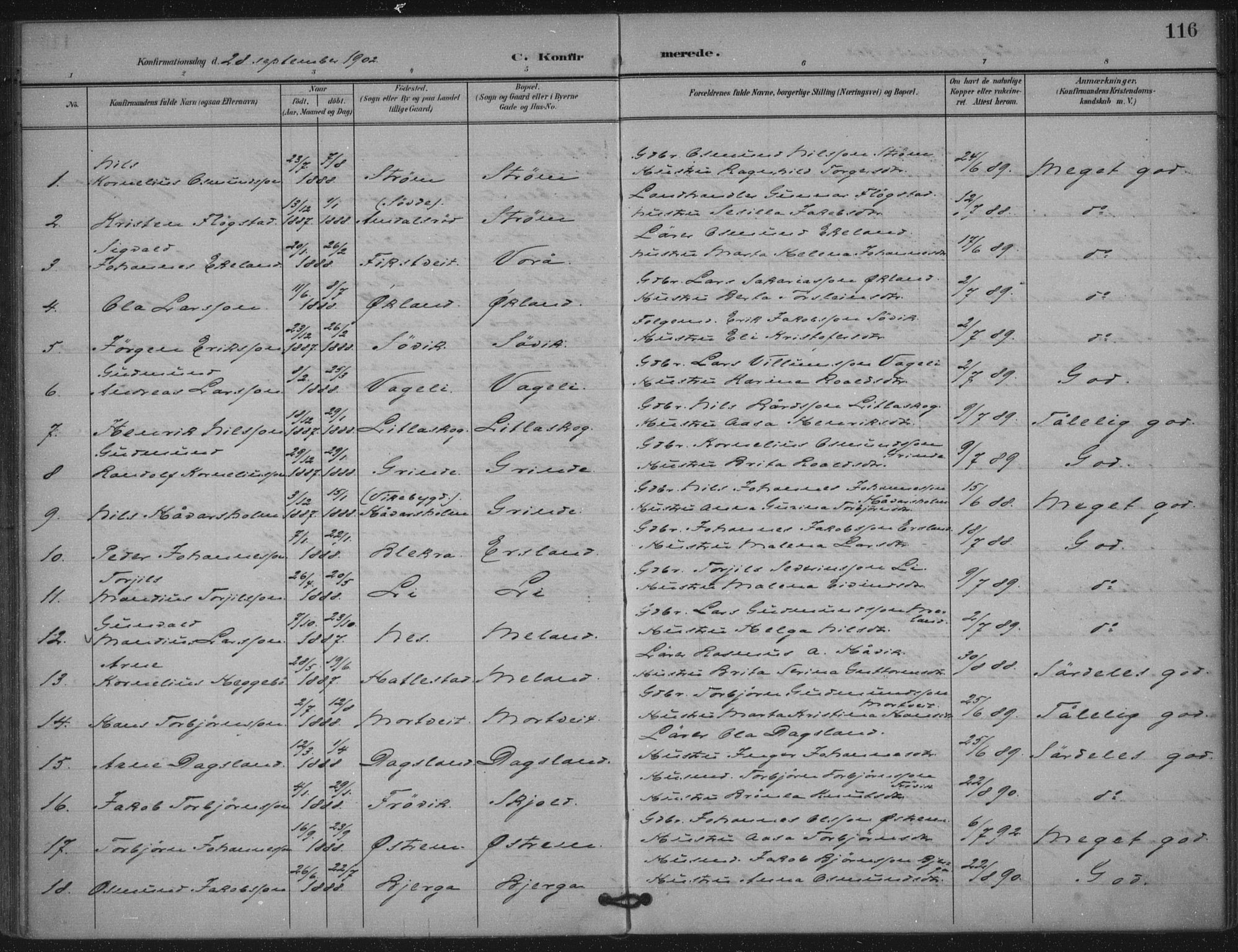 Skjold sokneprestkontor, AV/SAST-A-101847/H/Ha/Haa/L0011: Parish register (official) no. A 11, 1897-1914, p. 116