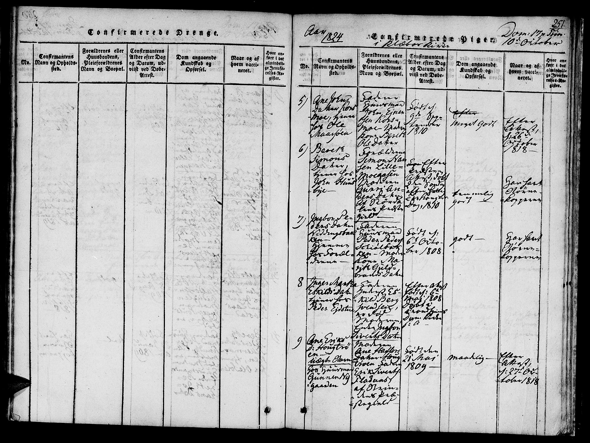 Ministerialprotokoller, klokkerbøker og fødselsregistre - Sør-Trøndelag, AV/SAT-A-1456/618/L0439: Parish register (official) no. 618A04 /1, 1816-1843, p. 251