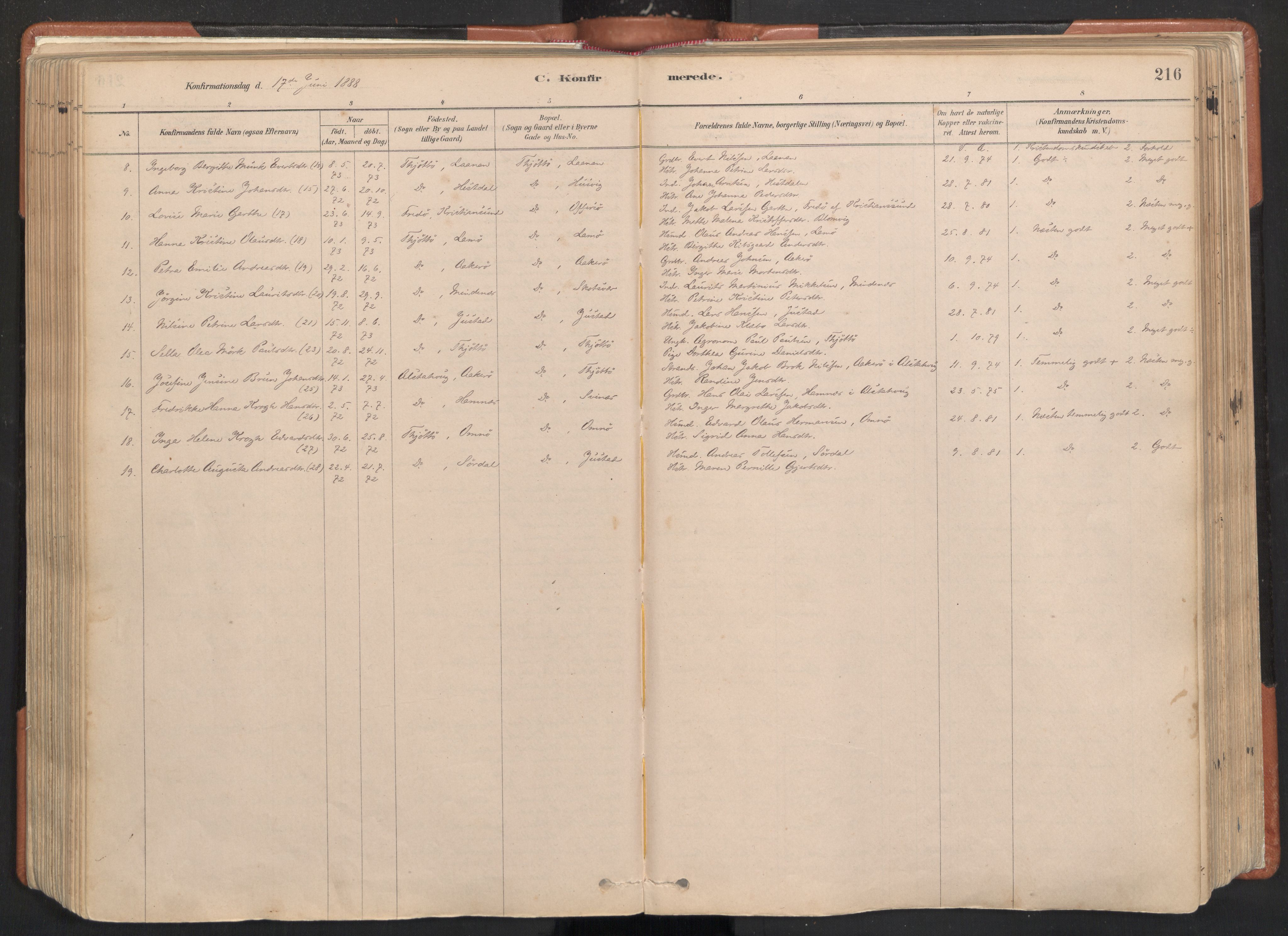 Ministerialprotokoller, klokkerbøker og fødselsregistre - Nordland, AV/SAT-A-1459/817/L0264: Parish register (official) no. 817A04, 1878-1907, p. 216