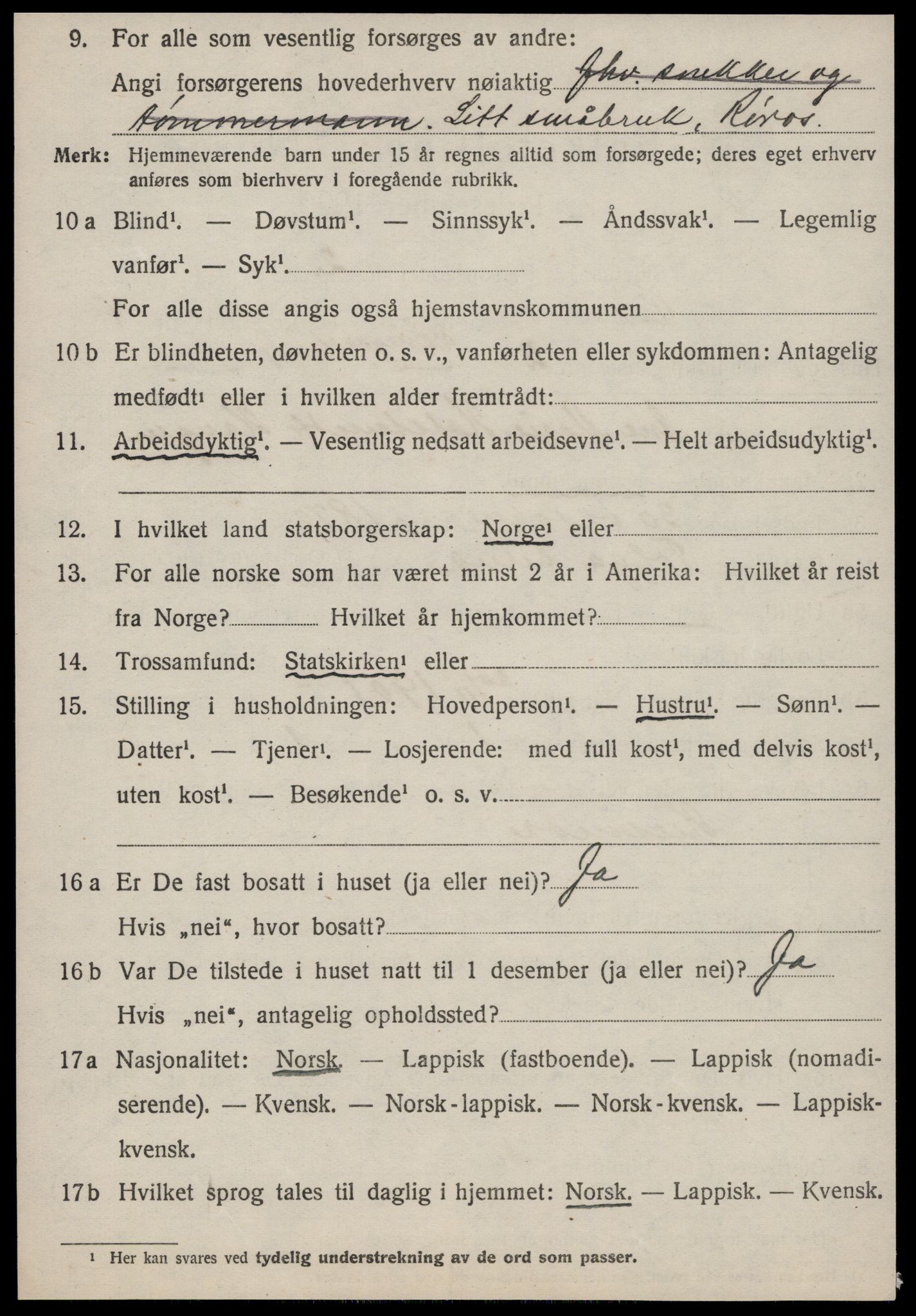 SAT, 1920 census for Røros, 1920, p. 4519