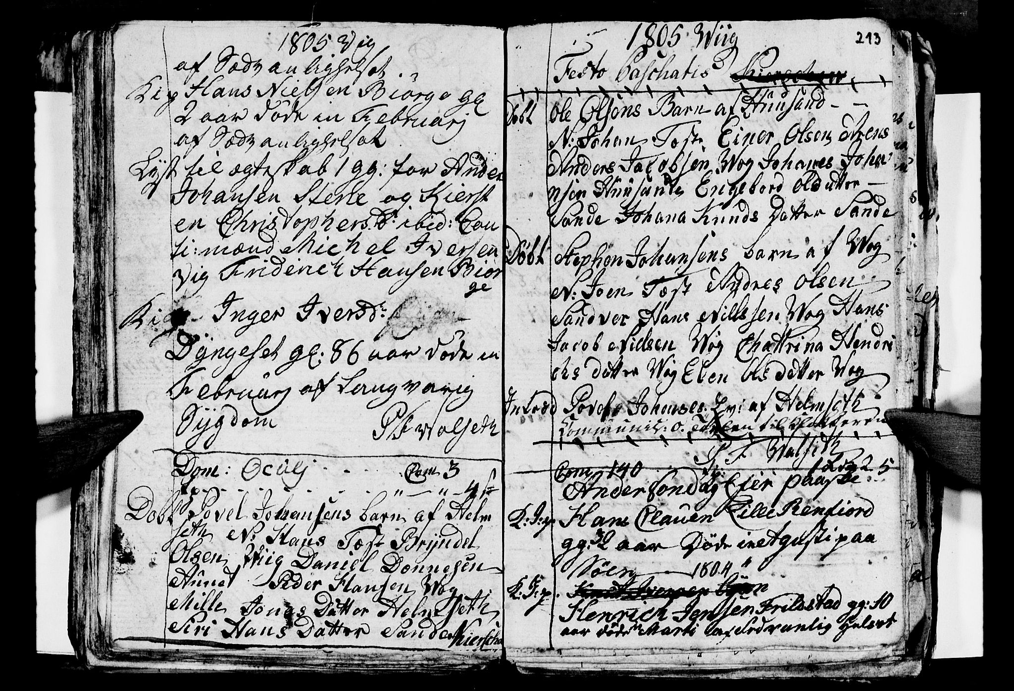 Ministerialprotokoller, klokkerbøker og fødselsregistre - Nordland, AV/SAT-A-1459/812/L0184: Parish register (copy) no. 812C02, 1793-1809, p. 213