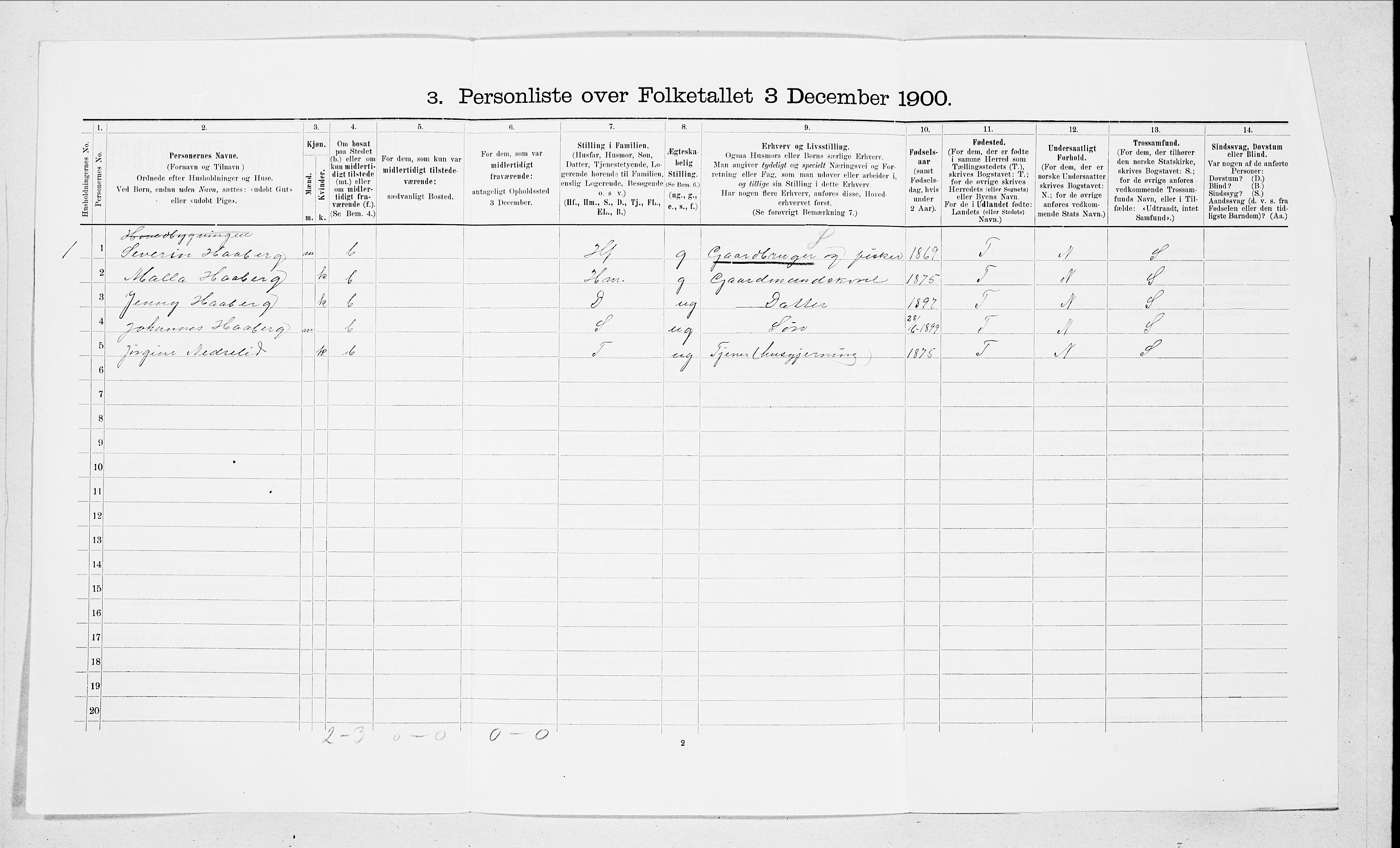 SAT, 1900 census for Sande, 1900, p. 446