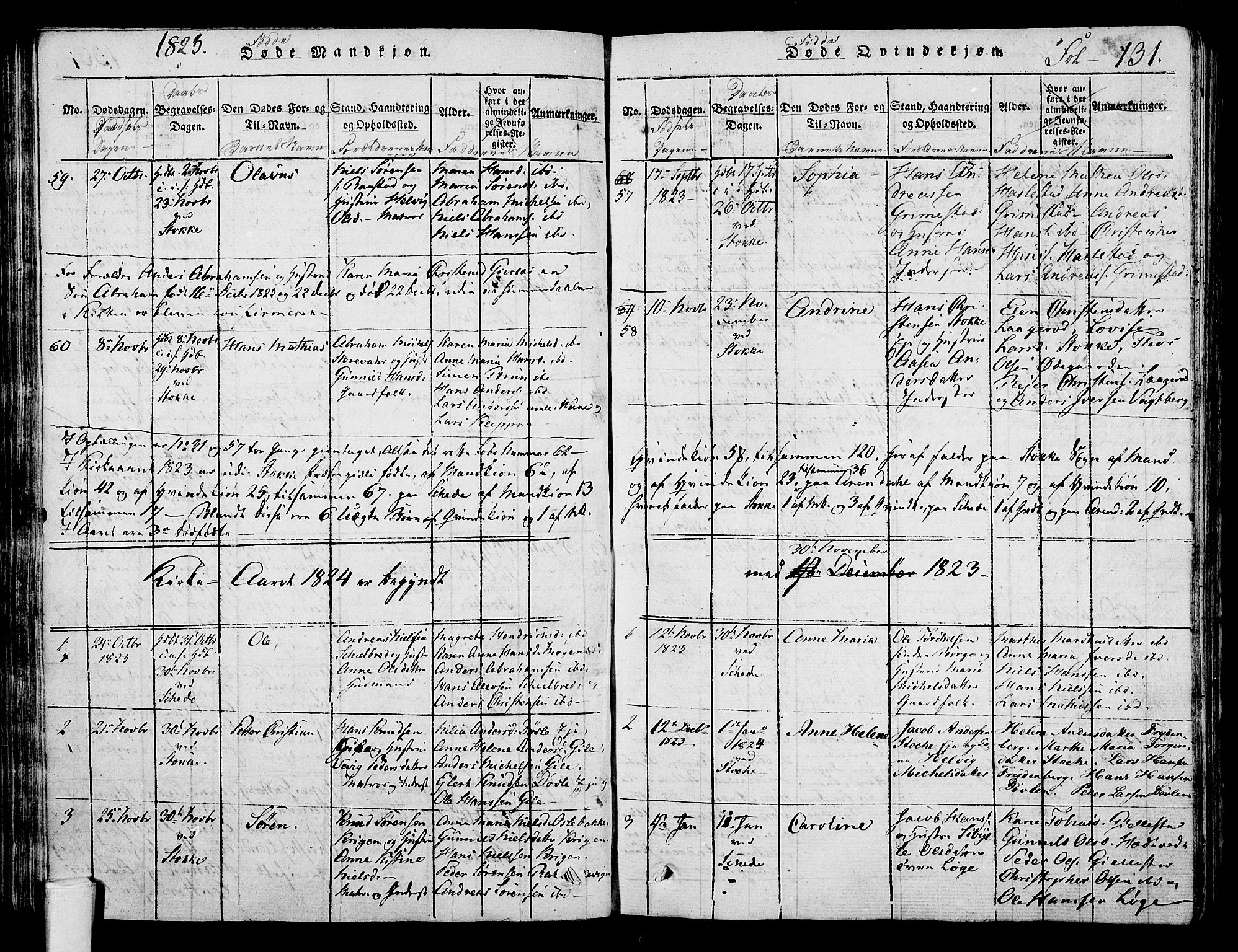 Stokke kirkebøker, AV/SAKO-A-320/F/Fa/L0005: Parish register (official) no. I 5, 1815-1826, p. 131