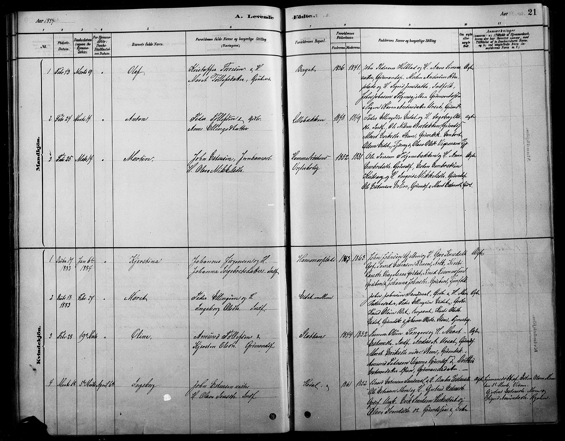 Tolga prestekontor, AV/SAH-PREST-062/L/L0007: Parish register (copy) no. 7, 1878-1919, p. 21