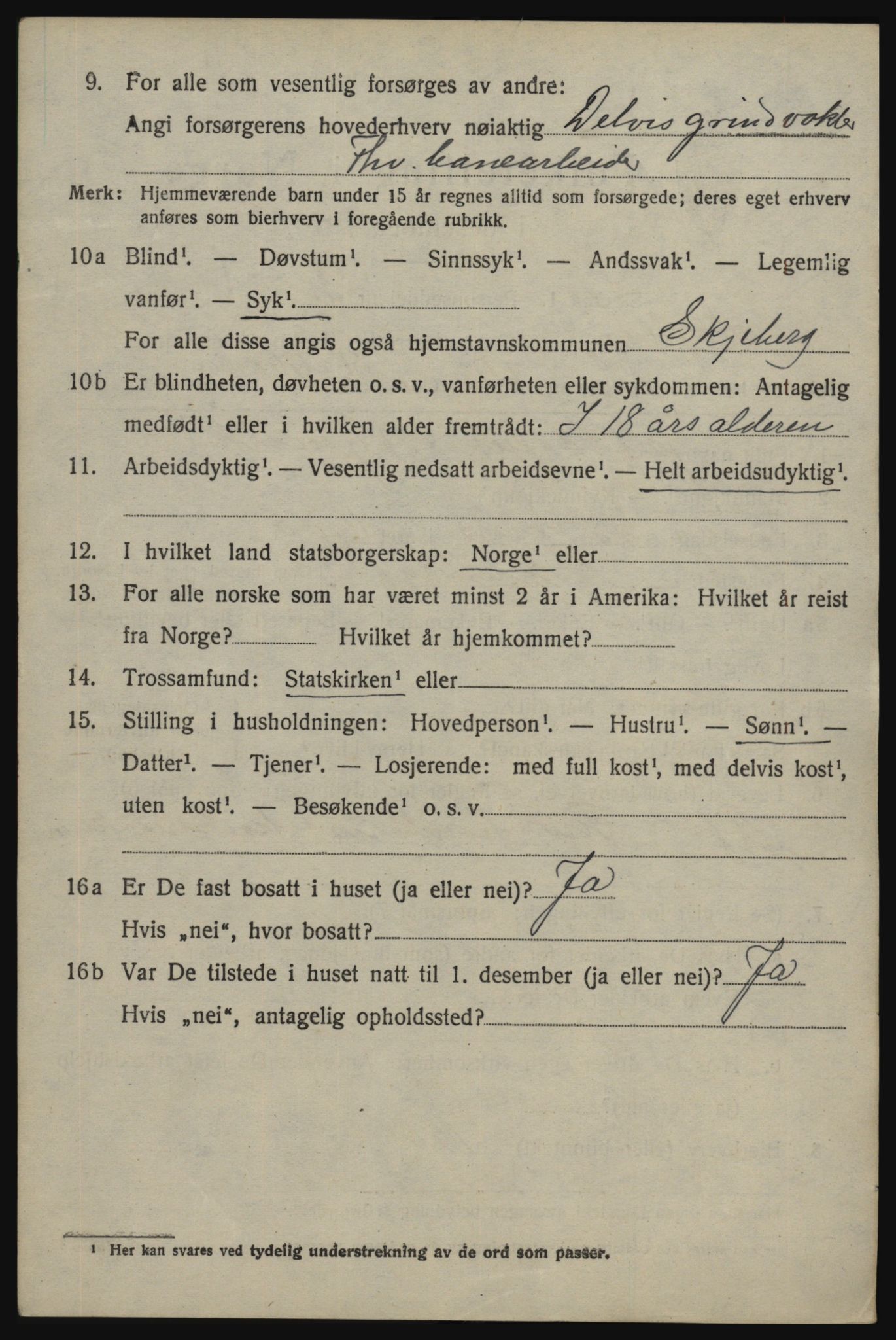 SAO, 1920 census for Skjeberg, 1920, p. 4348