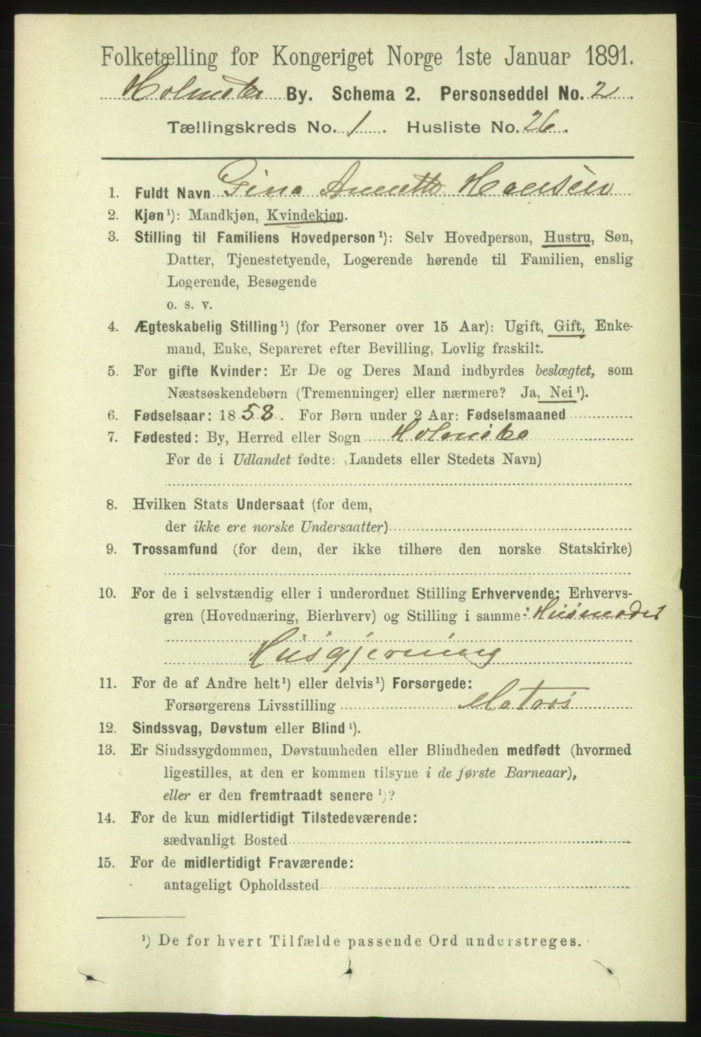RA, 1891 census for 0603 Holmsbu, 1891, p. 336