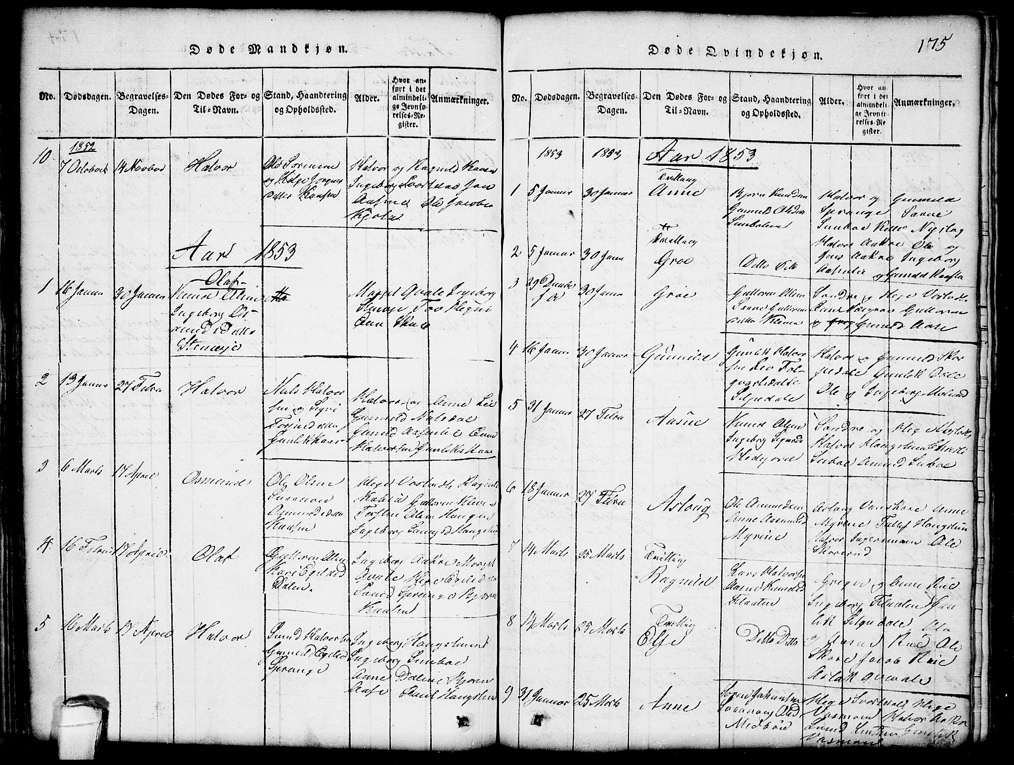 Seljord kirkebøker, SAKO/A-20/G/Gb/L0002: Parish register (copy) no. II 2, 1815-1854, p. 175
